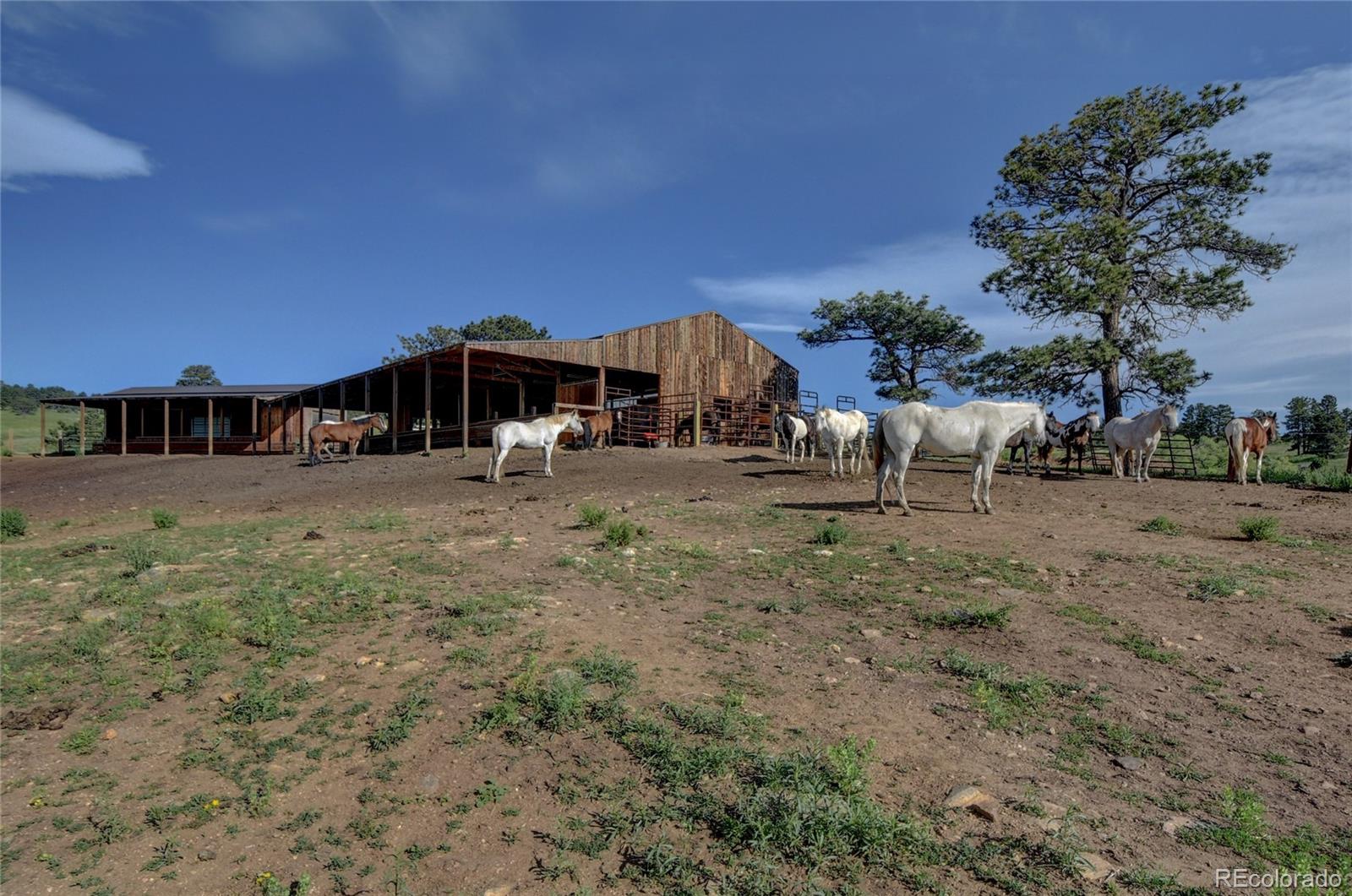 MLS Image #43 for 513  mt blue sky road,golden, Colorado