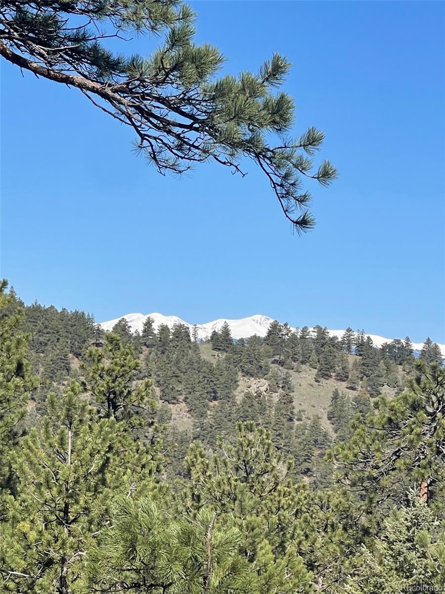 MLS Image #46 for 513  mt blue sky road,golden, Colorado
