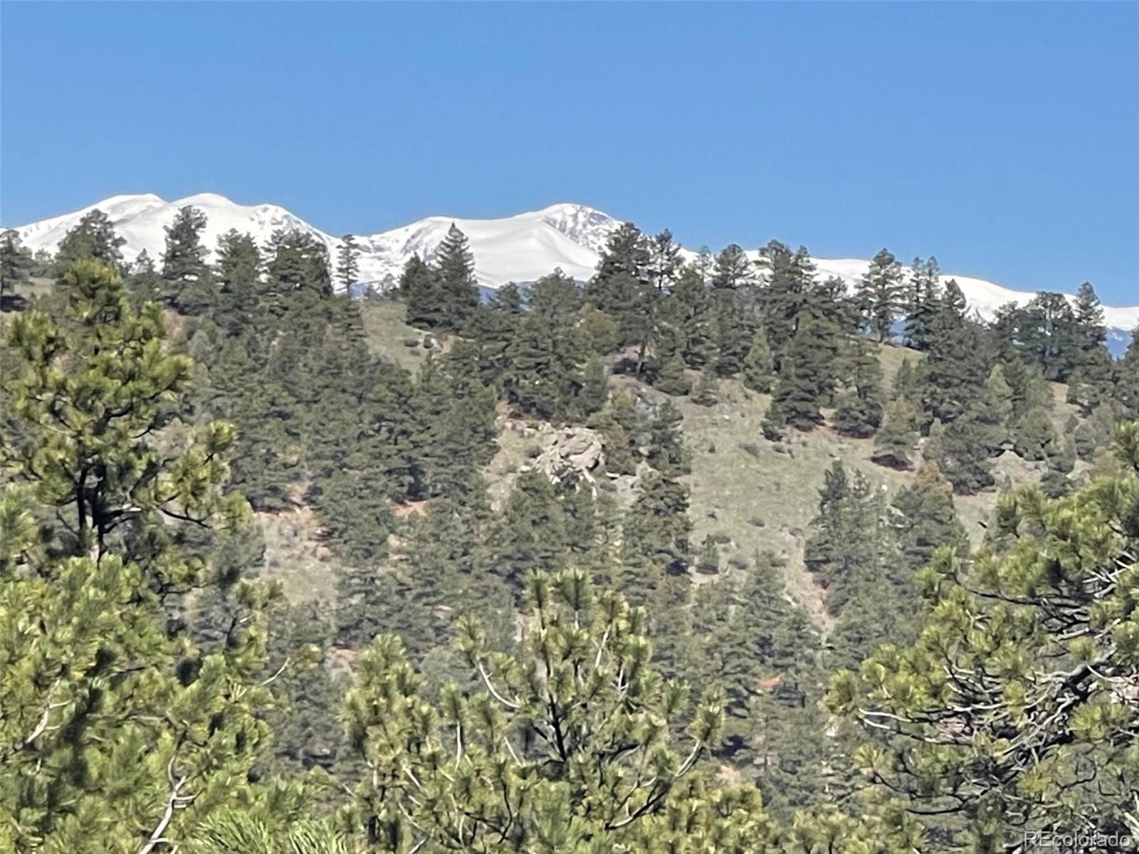 MLS Image #47 for 513  mt blue sky road,golden, Colorado