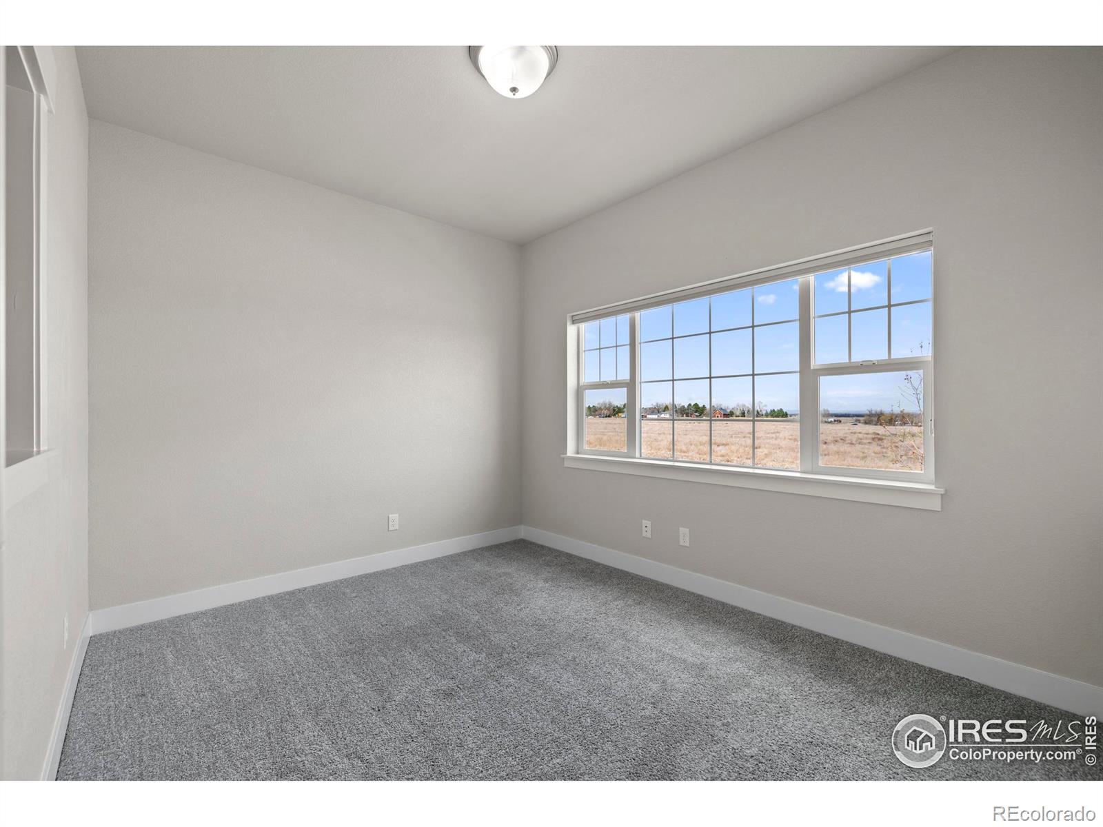 MLS Image #8 for 3903  le fever drive,fort collins, Colorado