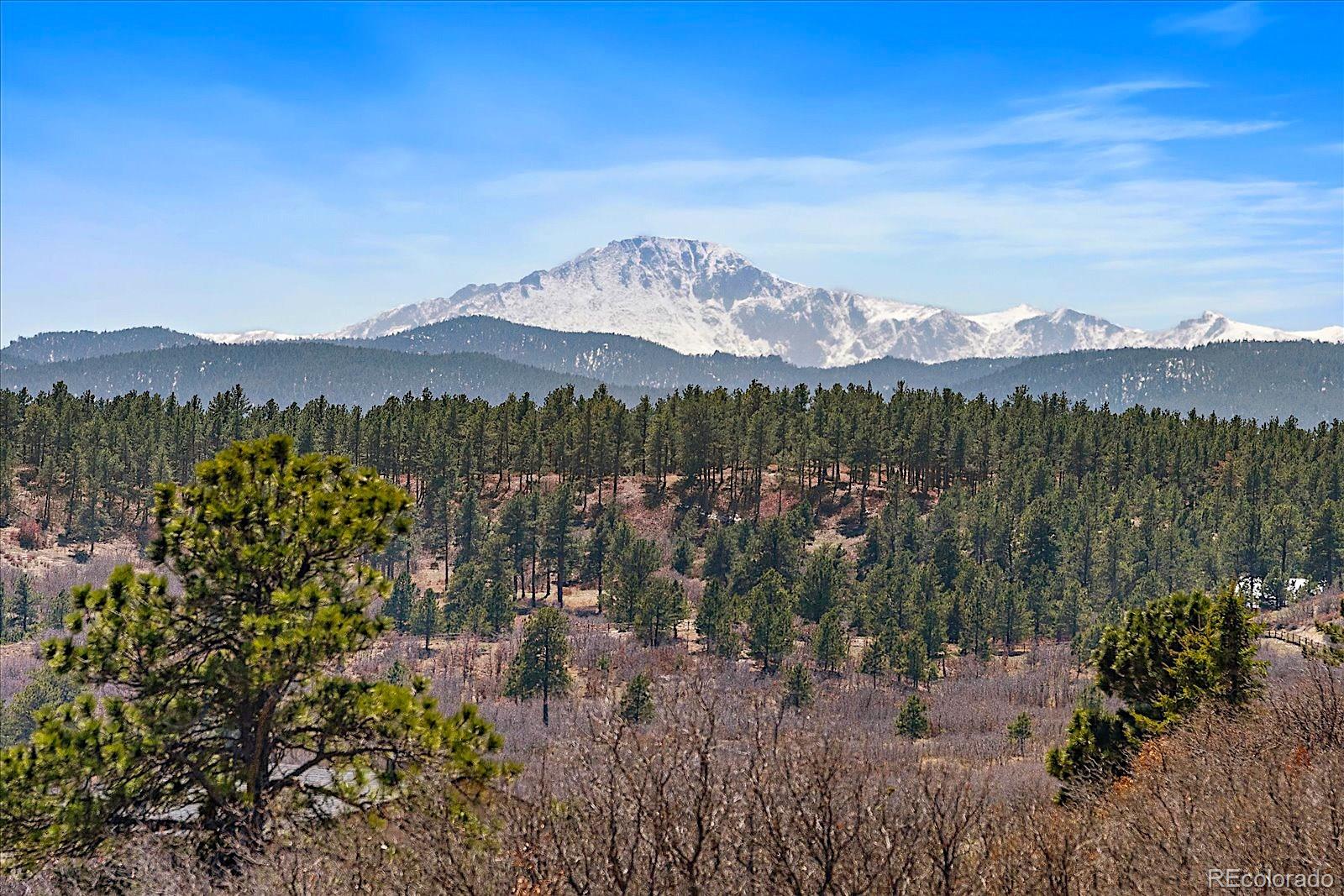 MLS Image #48 for 1552  colt circle,castle rock, Colorado