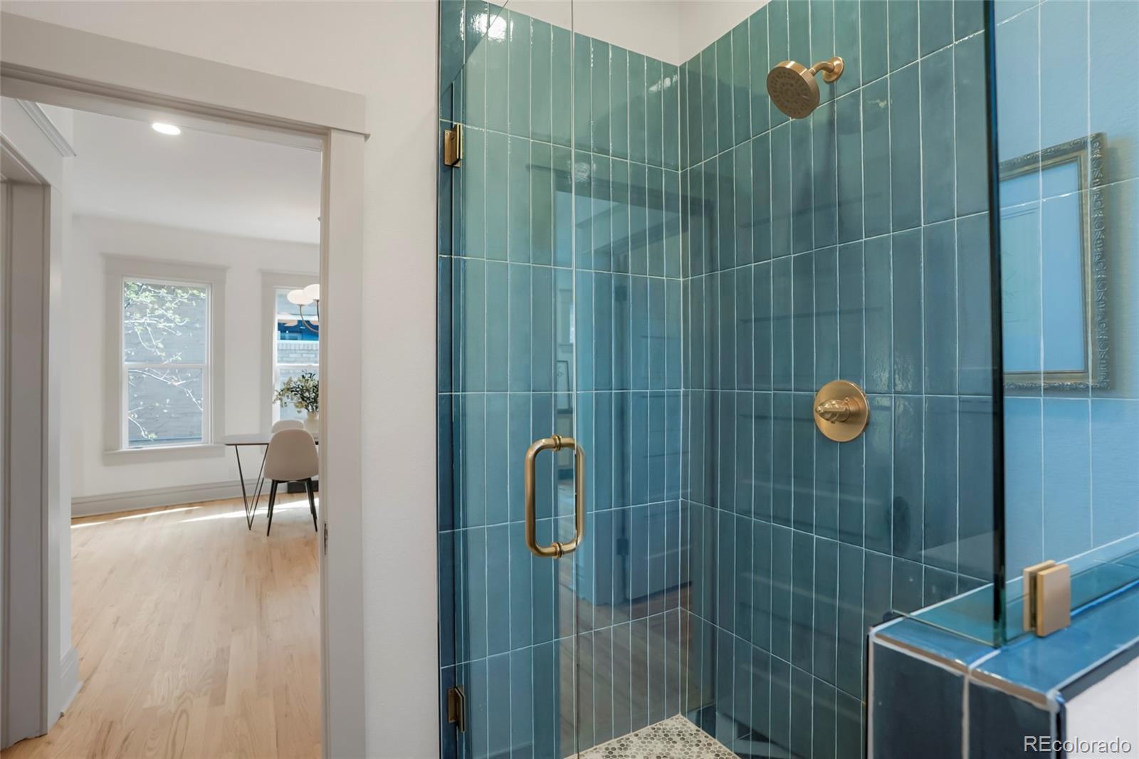 MLS Image #23 for 1337 s lincoln street,denver, Colorado