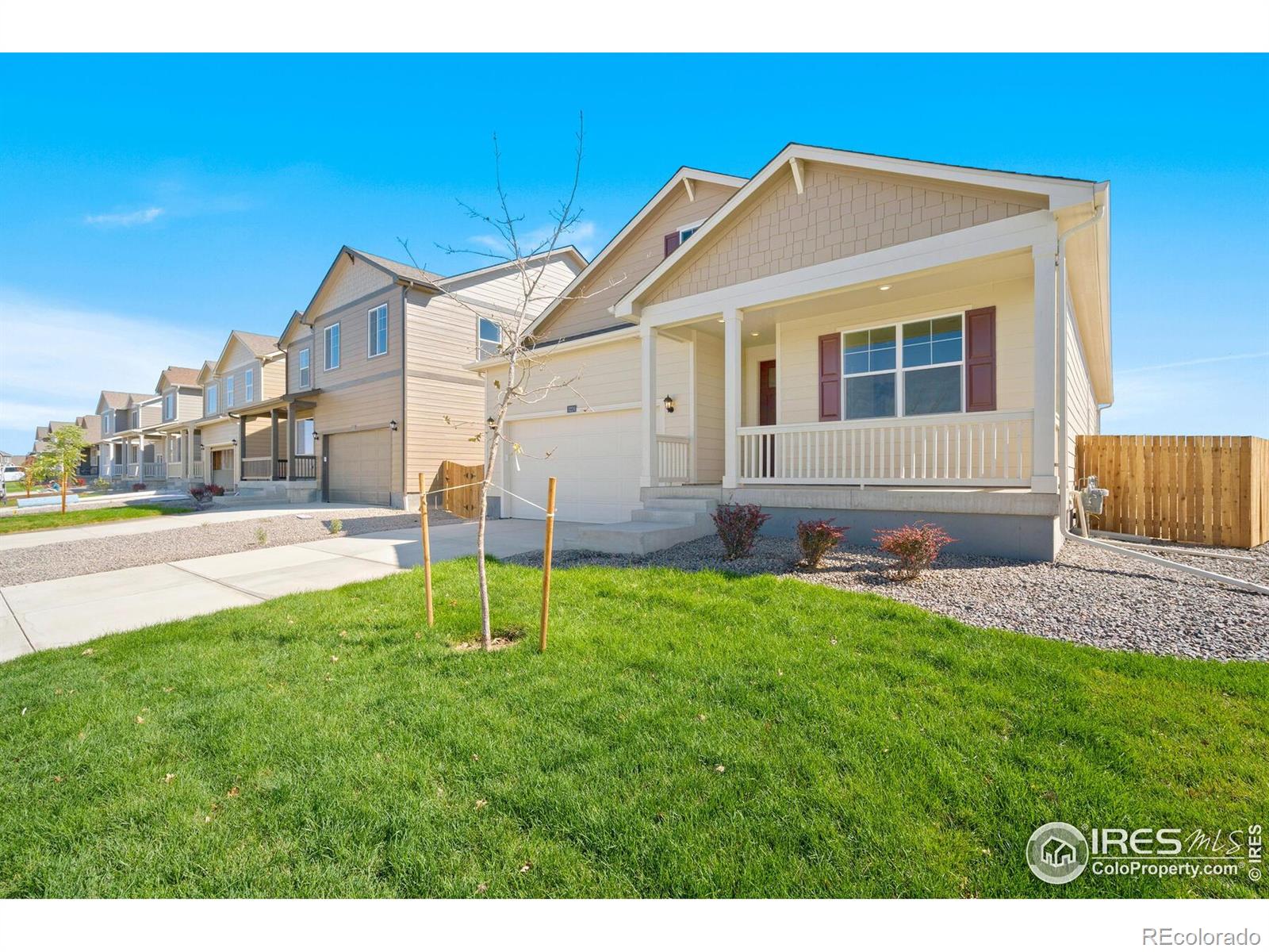 MLS Image #2 for 817  ledge street,lochbuie, Colorado