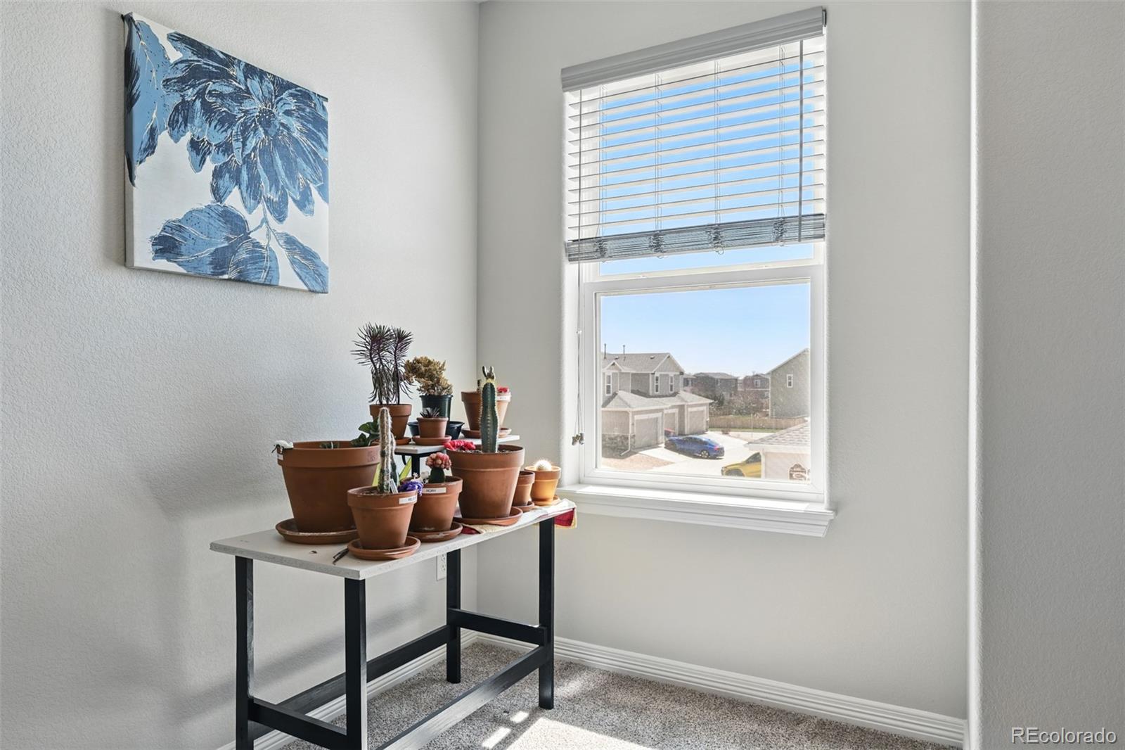 MLS Image #22 for 6113  summit peak court,erie, Colorado