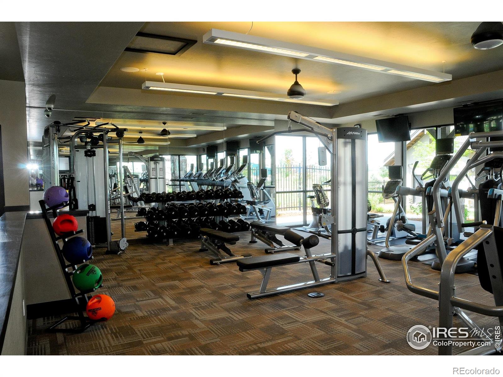 MLS Image #37 for 6714  rock river road,timnath, Colorado