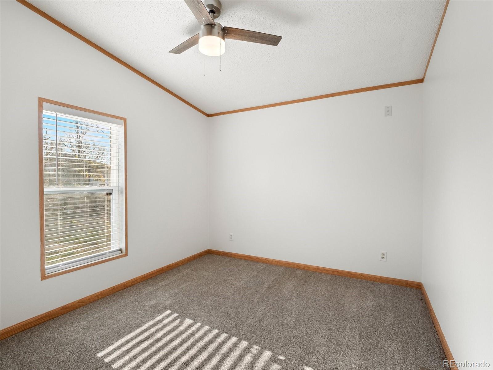 MLS Image #14 for 116  versailles street,lochbuie, Colorado