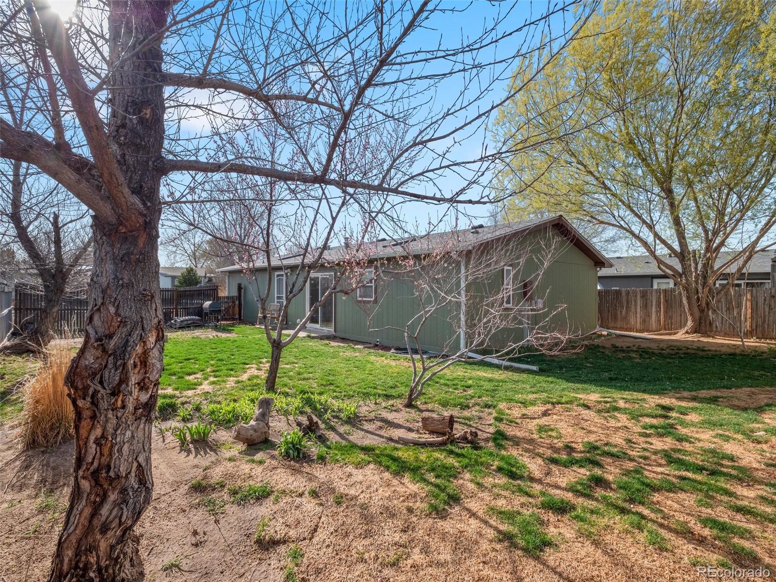 MLS Image #23 for 116  versailles street,lochbuie, Colorado