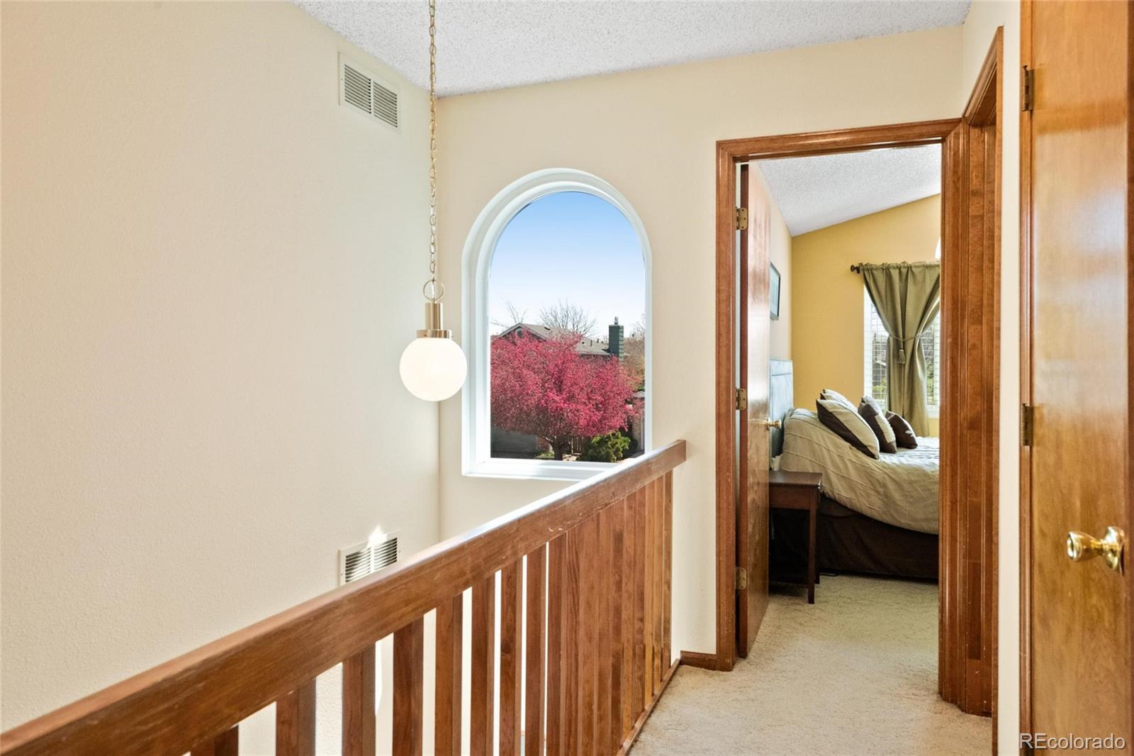 MLS Image #19 for 9161  weeping willow court,highlands ranch, Colorado