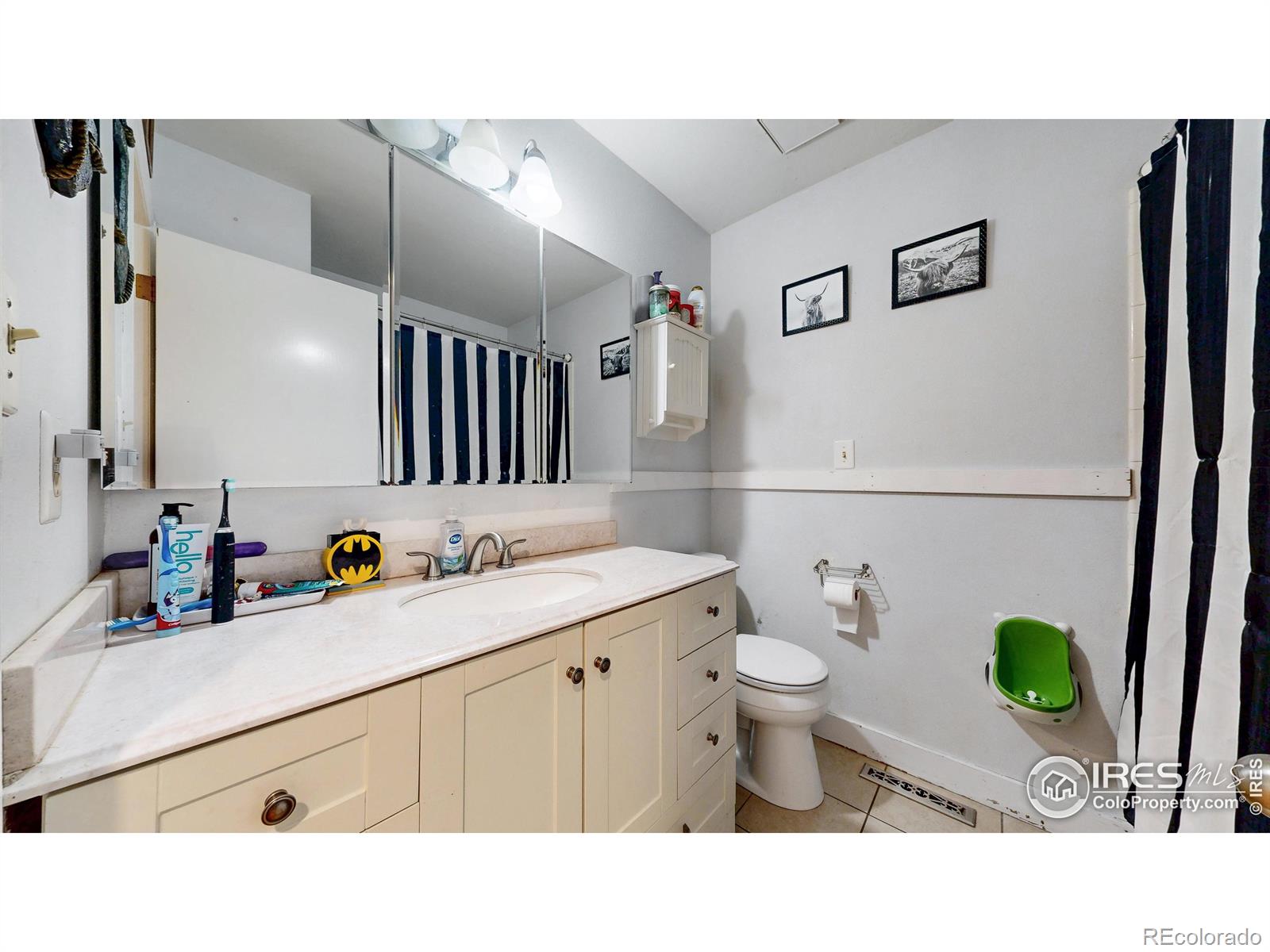 MLS Image #18 for 2706  balmoral court,fort collins, Colorado