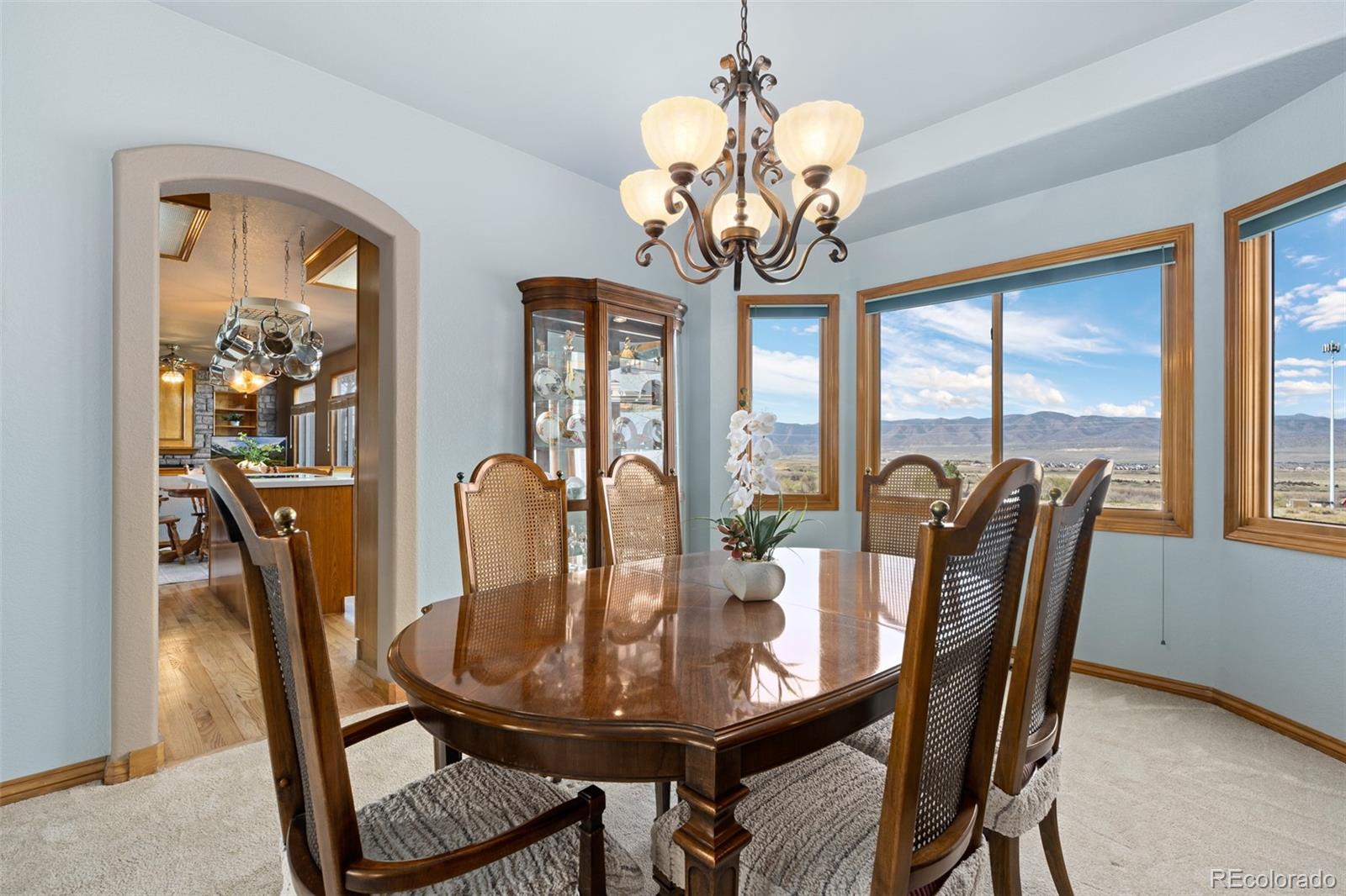 MLS Image #14 for 10335  baneberry place,highlands ranch, Colorado