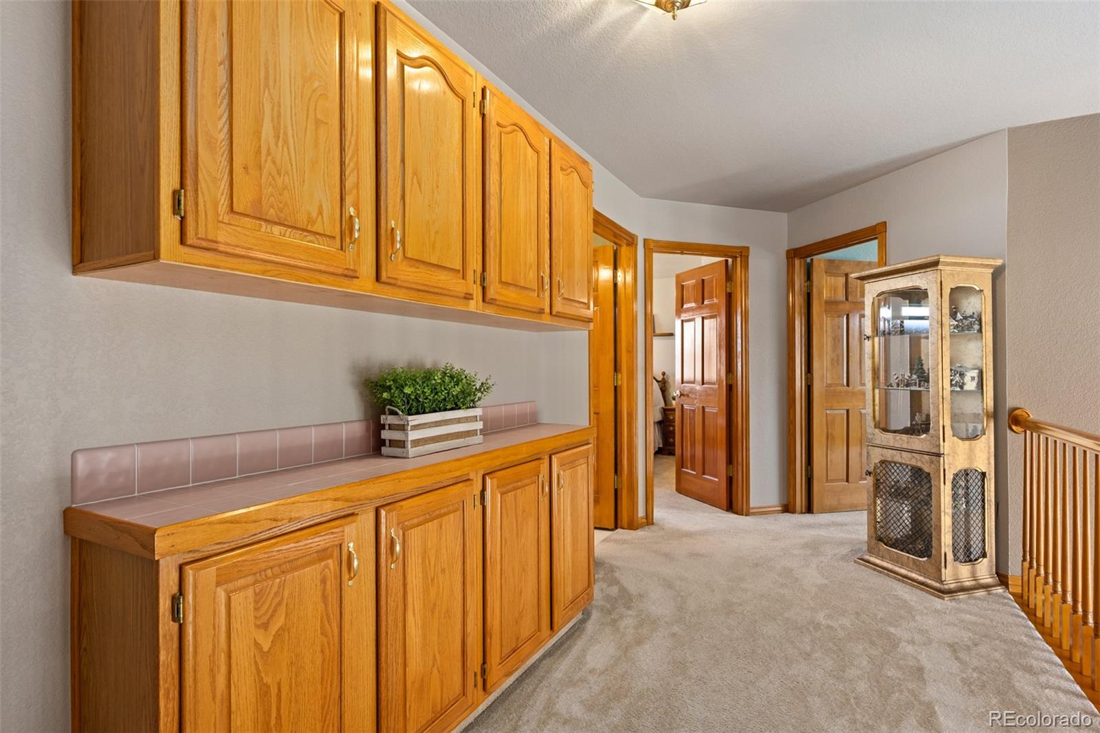 MLS Image #17 for 10335  baneberry place,highlands ranch, Colorado