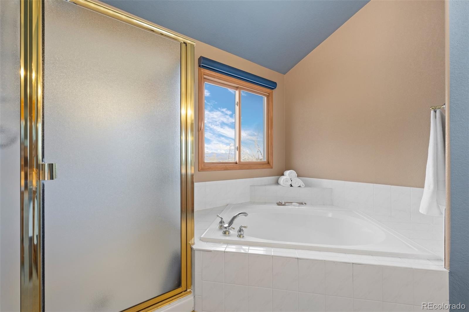 MLS Image #26 for 10335  baneberry place,highlands ranch, Colorado