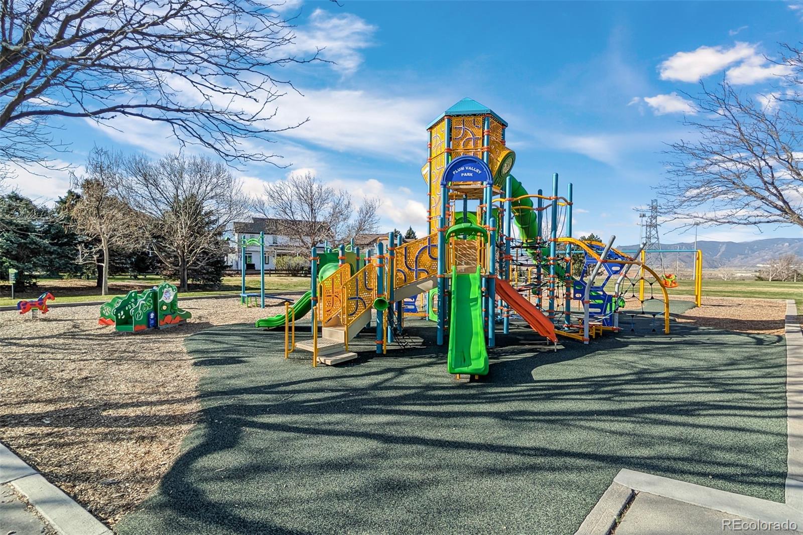 MLS Image #5 for 10335  baneberry place,highlands ranch, Colorado