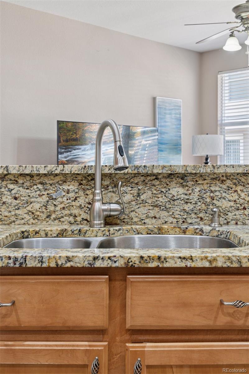 MLS Image #10 for 17326  waterhouse circle,parker, Colorado