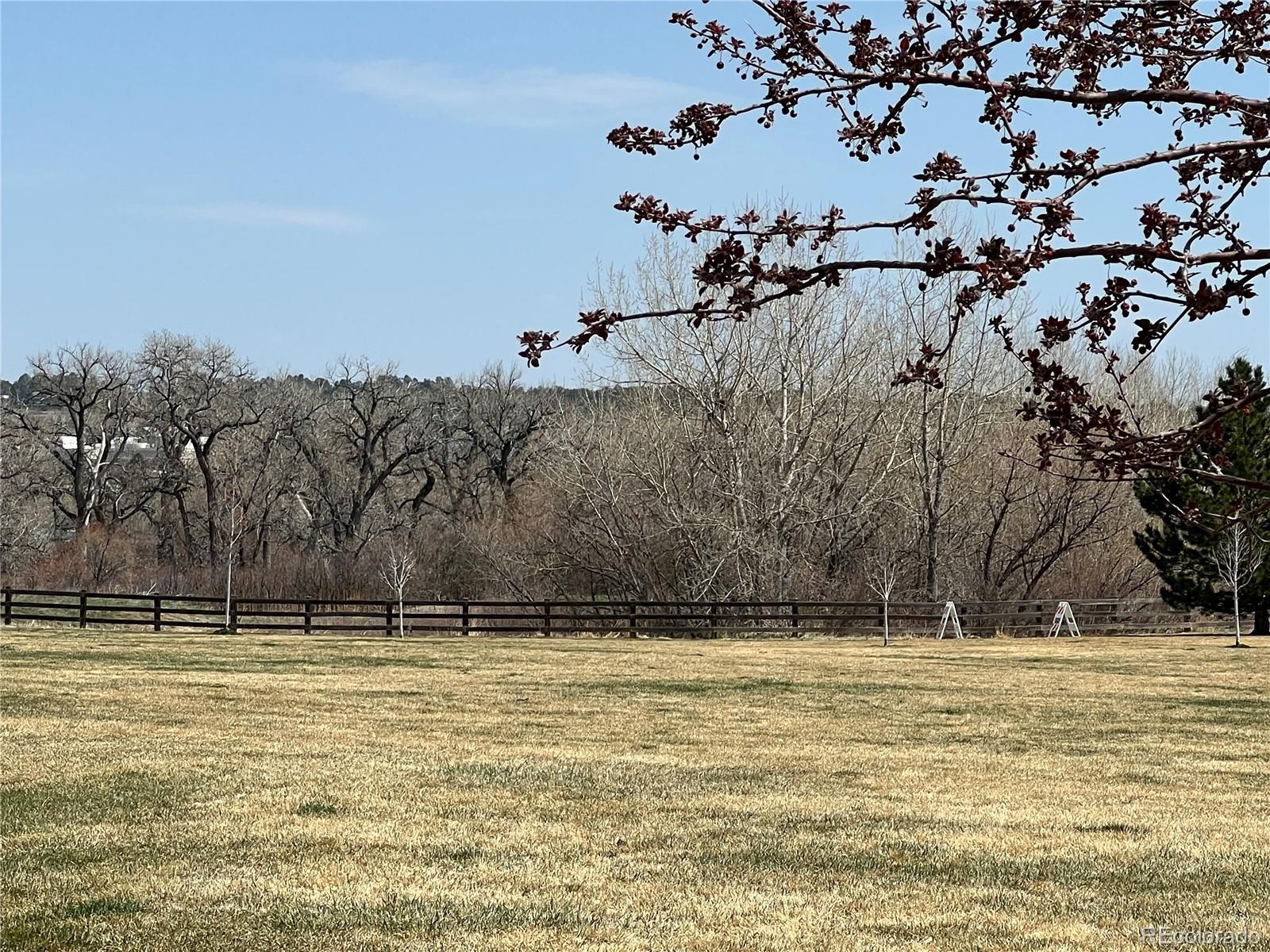 MLS Image #38 for 17326  waterhouse circle,parker, Colorado