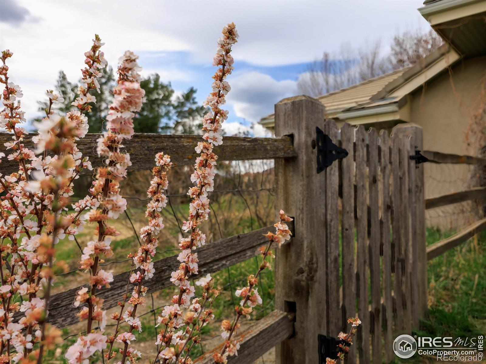 MLS Image #24 for 7940  valmont road,boulder, Colorado