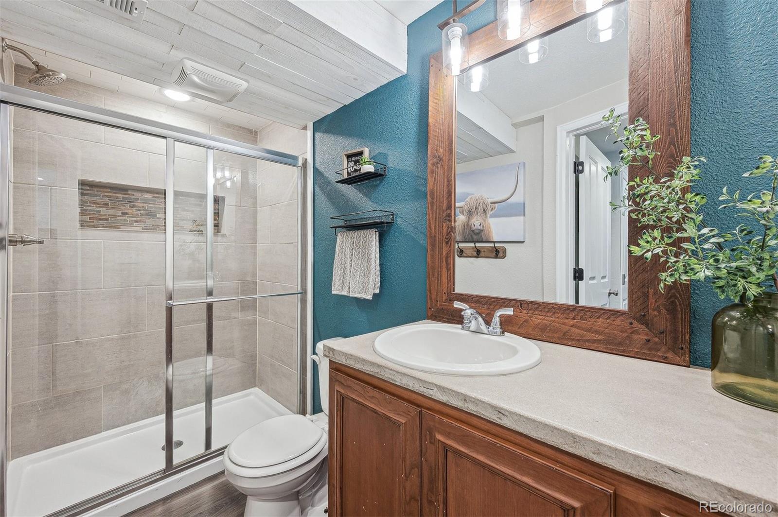 MLS Image #17 for 11072  quail court,parker, Colorado