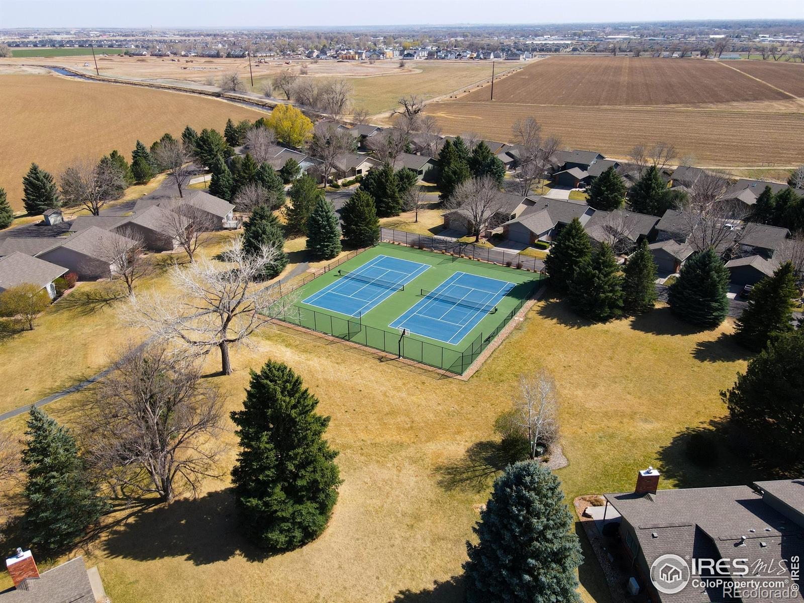 MLS Image #18 for 1928  adriel court,fort collins, Colorado