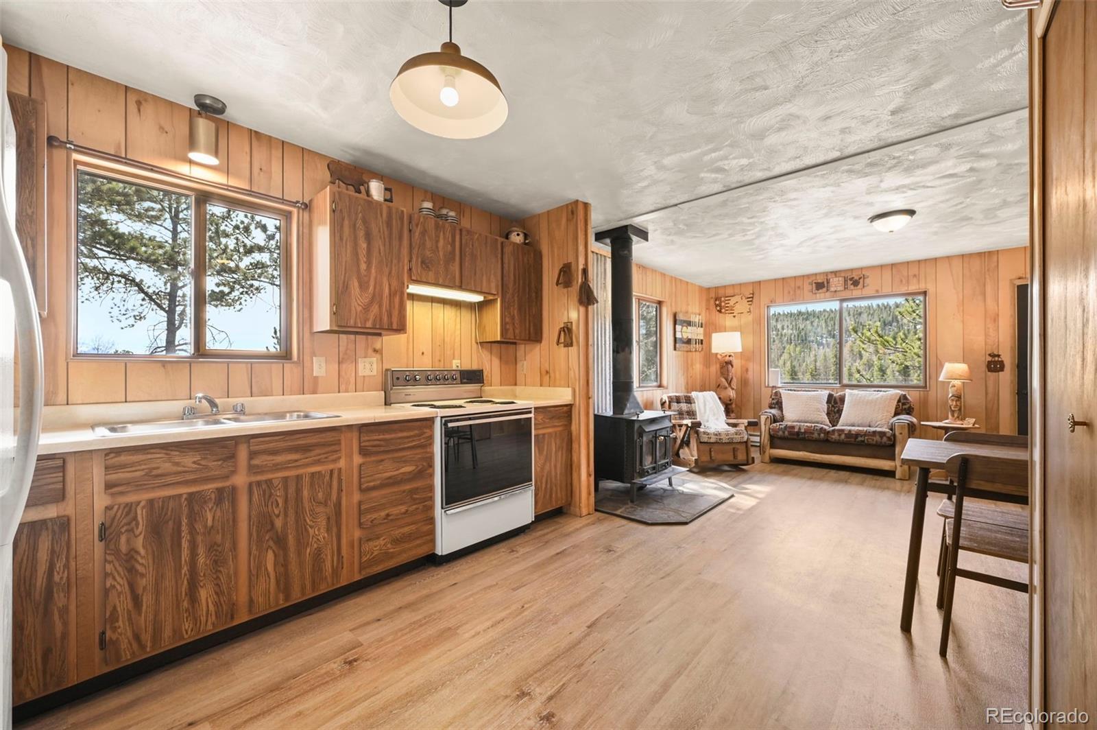 MLS Image #10 for 29  deerfield lane,florissant, Colorado