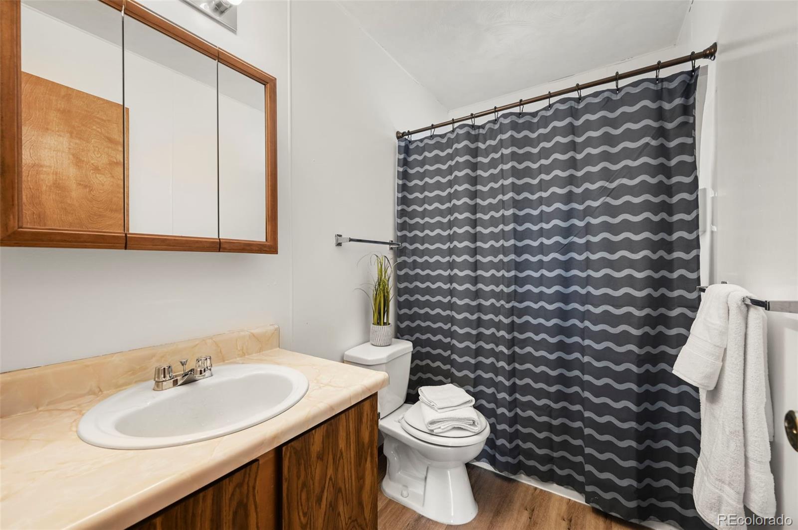 MLS Image #17 for 29  deerfield lane,florissant, Colorado