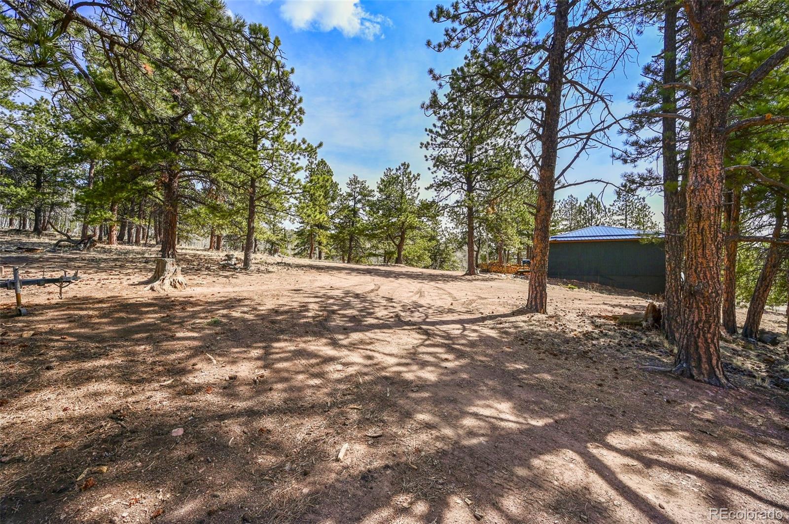 MLS Image #26 for 29  deerfield lane,florissant, Colorado