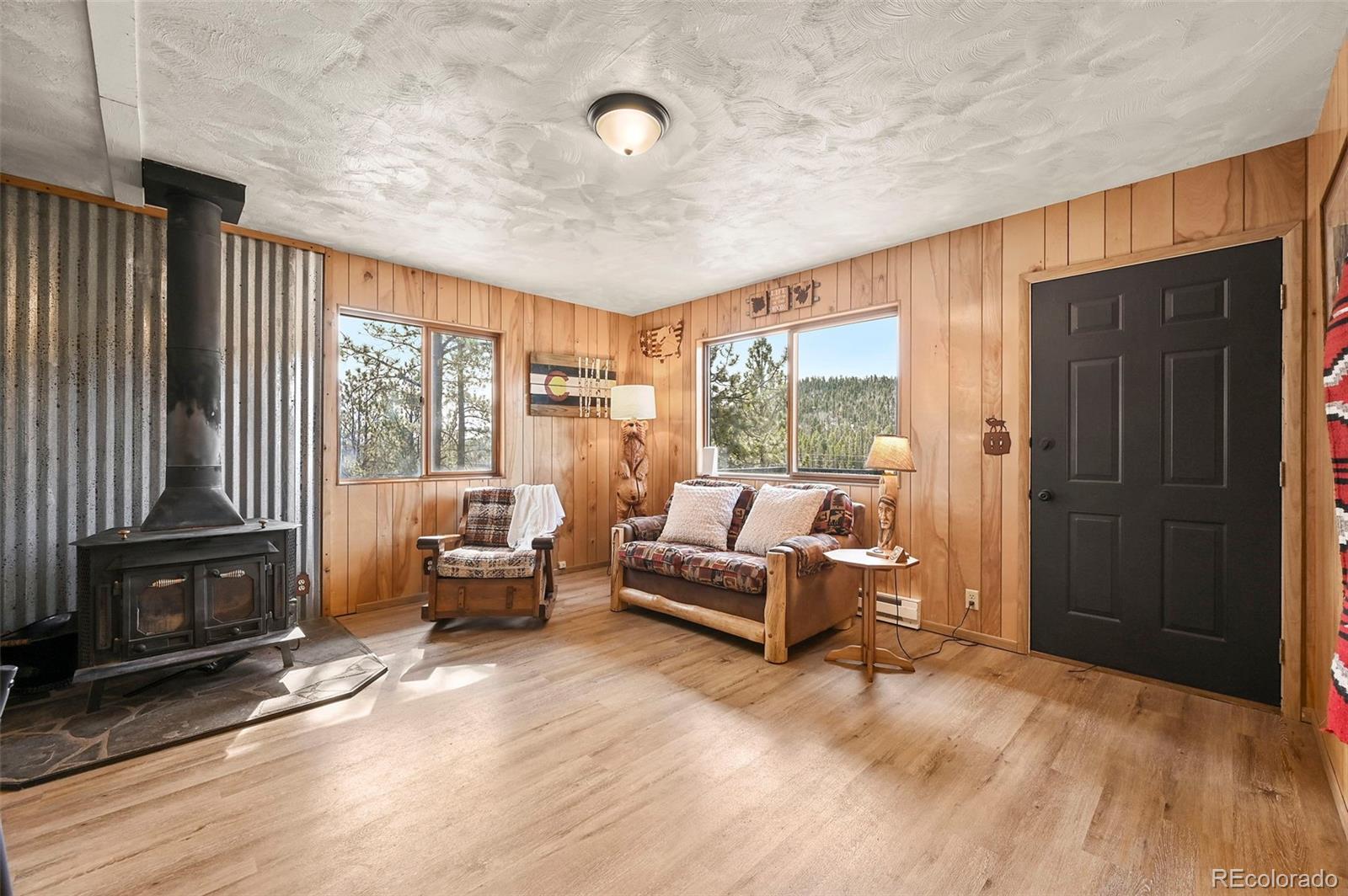 MLS Image #5 for 29  deerfield lane,florissant, Colorado