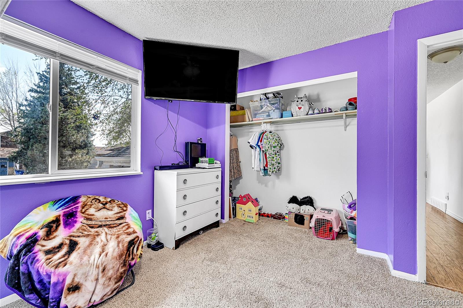 MLS Image #13 for 2933  19th street drive,greeley, Colorado