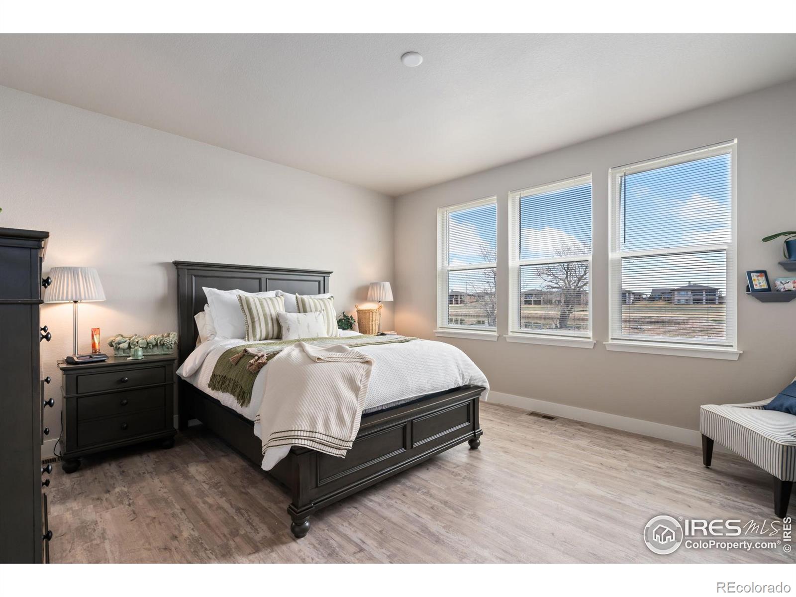MLS Image #12 for 2712  vallecito street,timnath, Colorado