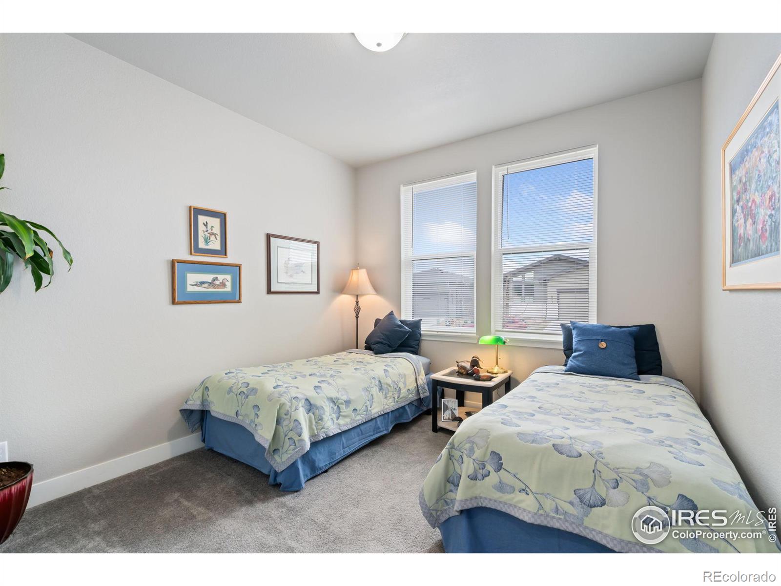MLS Image #19 for 2712  vallecito street,timnath, Colorado