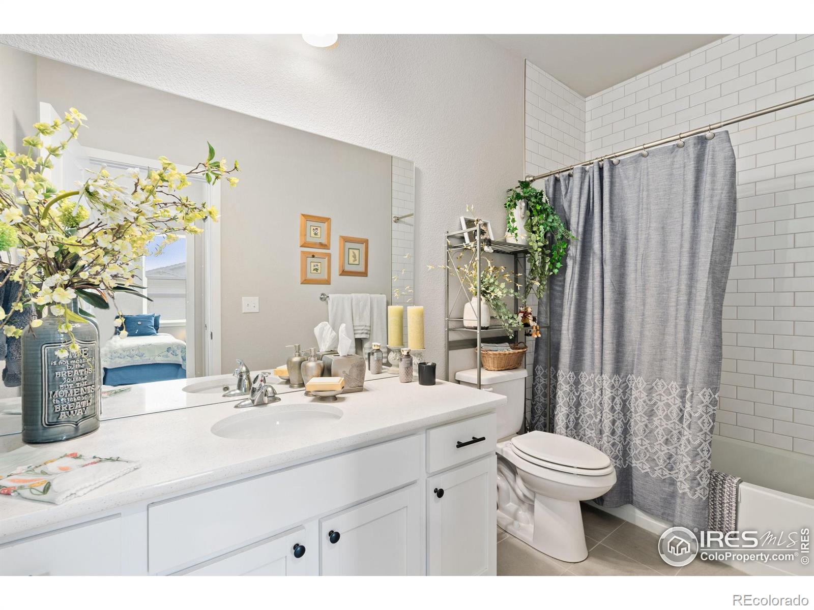 MLS Image #20 for 2712  vallecito street,timnath, Colorado