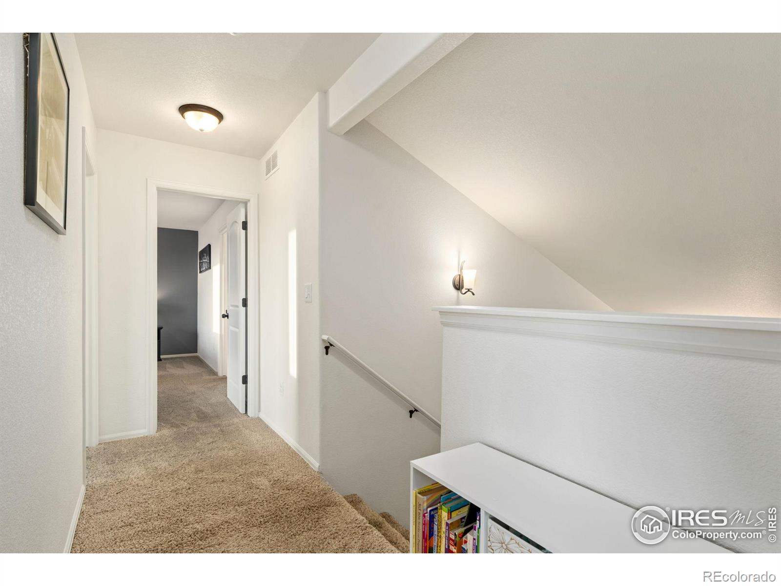 MLS Image #18 for 1109  tur street,severance, Colorado