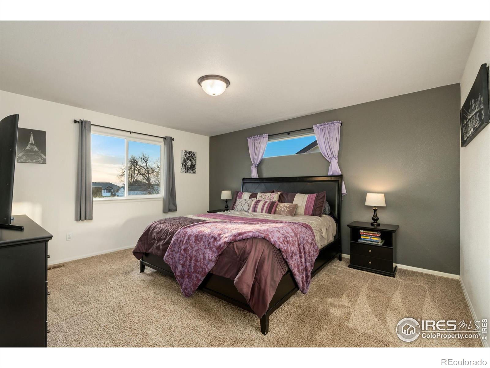 MLS Image #19 for 1109  tur street,severance, Colorado