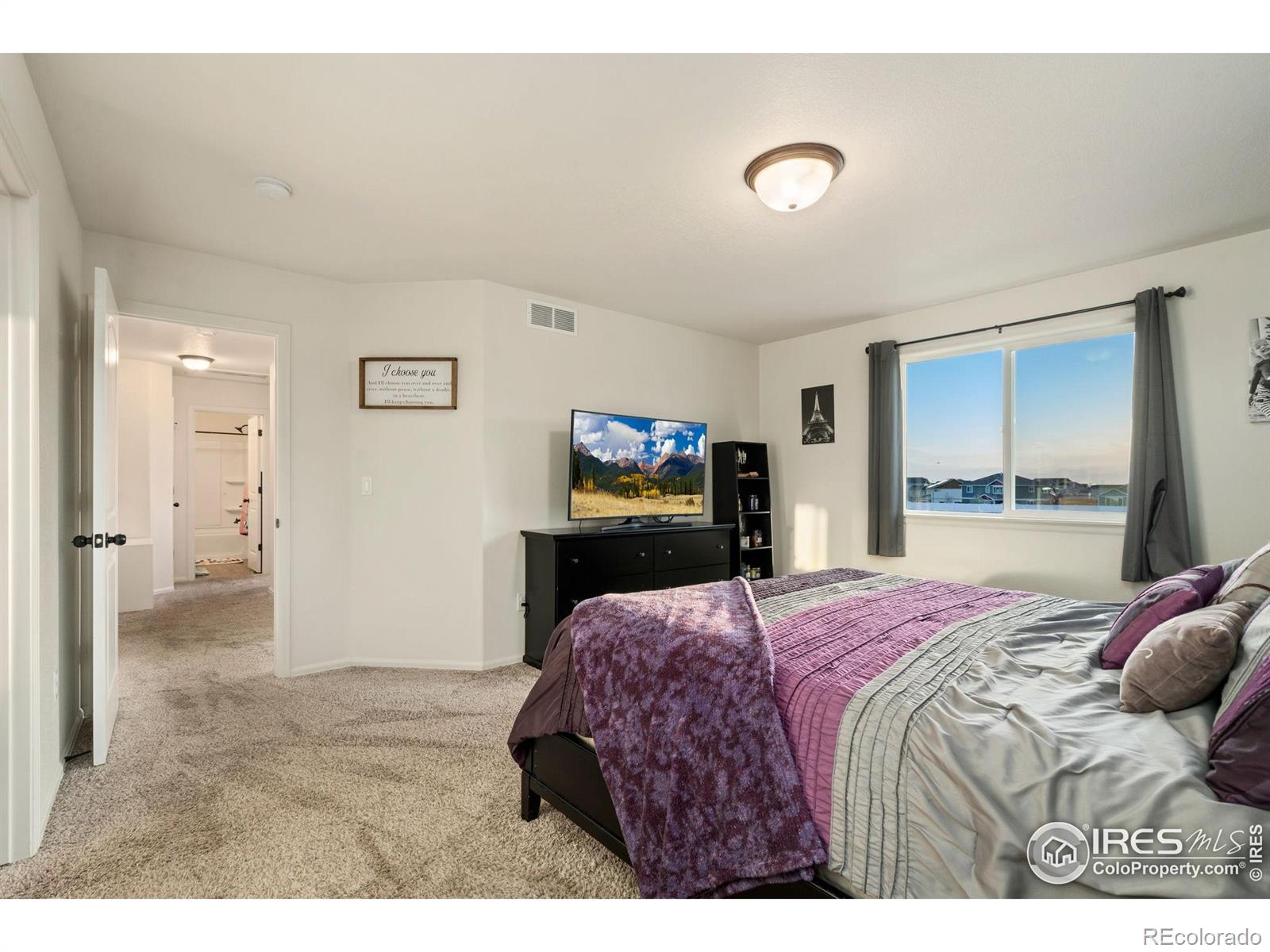 MLS Image #20 for 1109  tur street,severance, Colorado