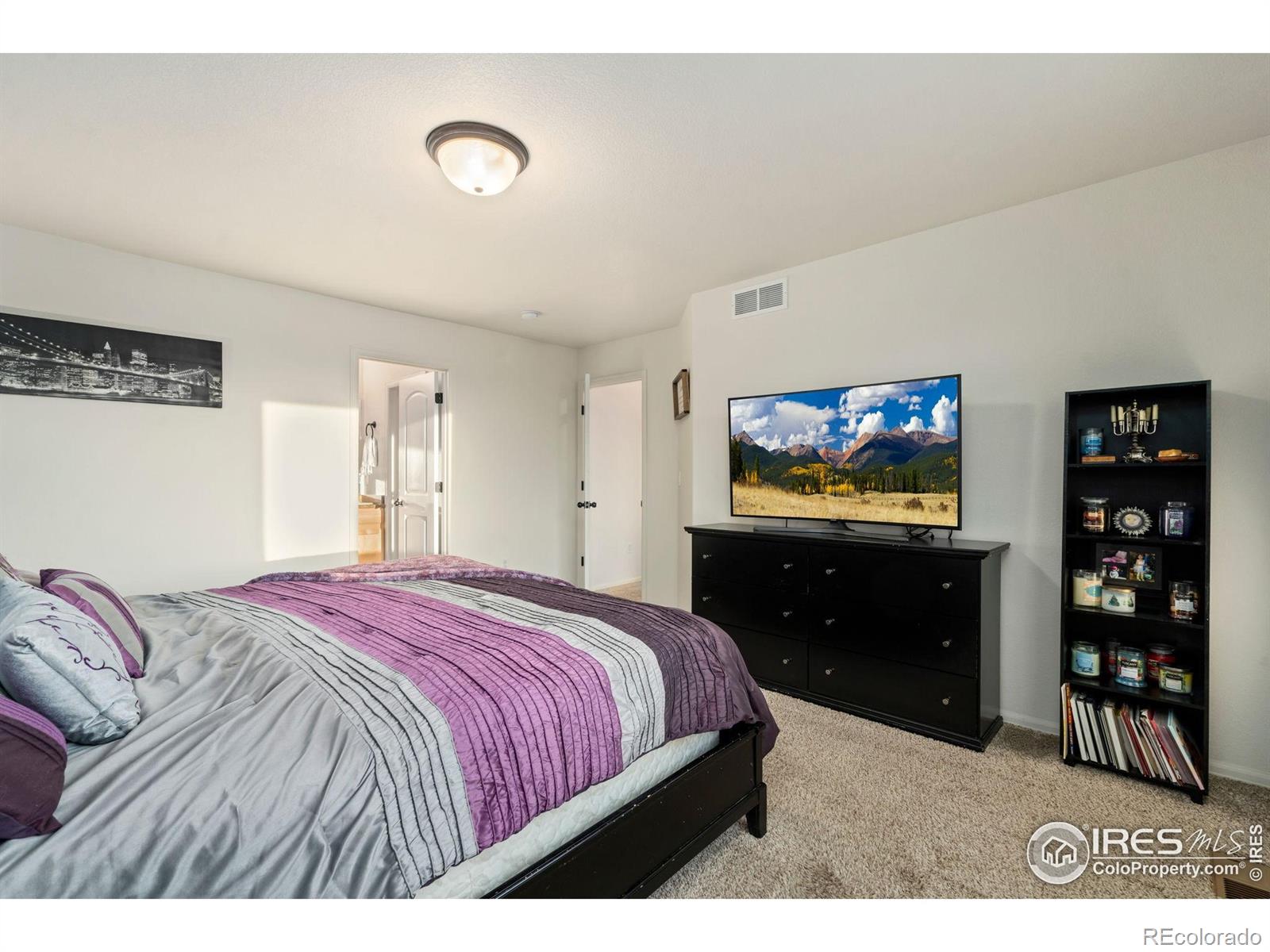MLS Image #21 for 1109  tur street,severance, Colorado