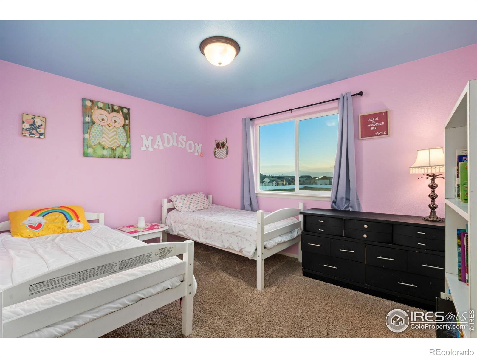 MLS Image #24 for 1109  tur street,severance, Colorado