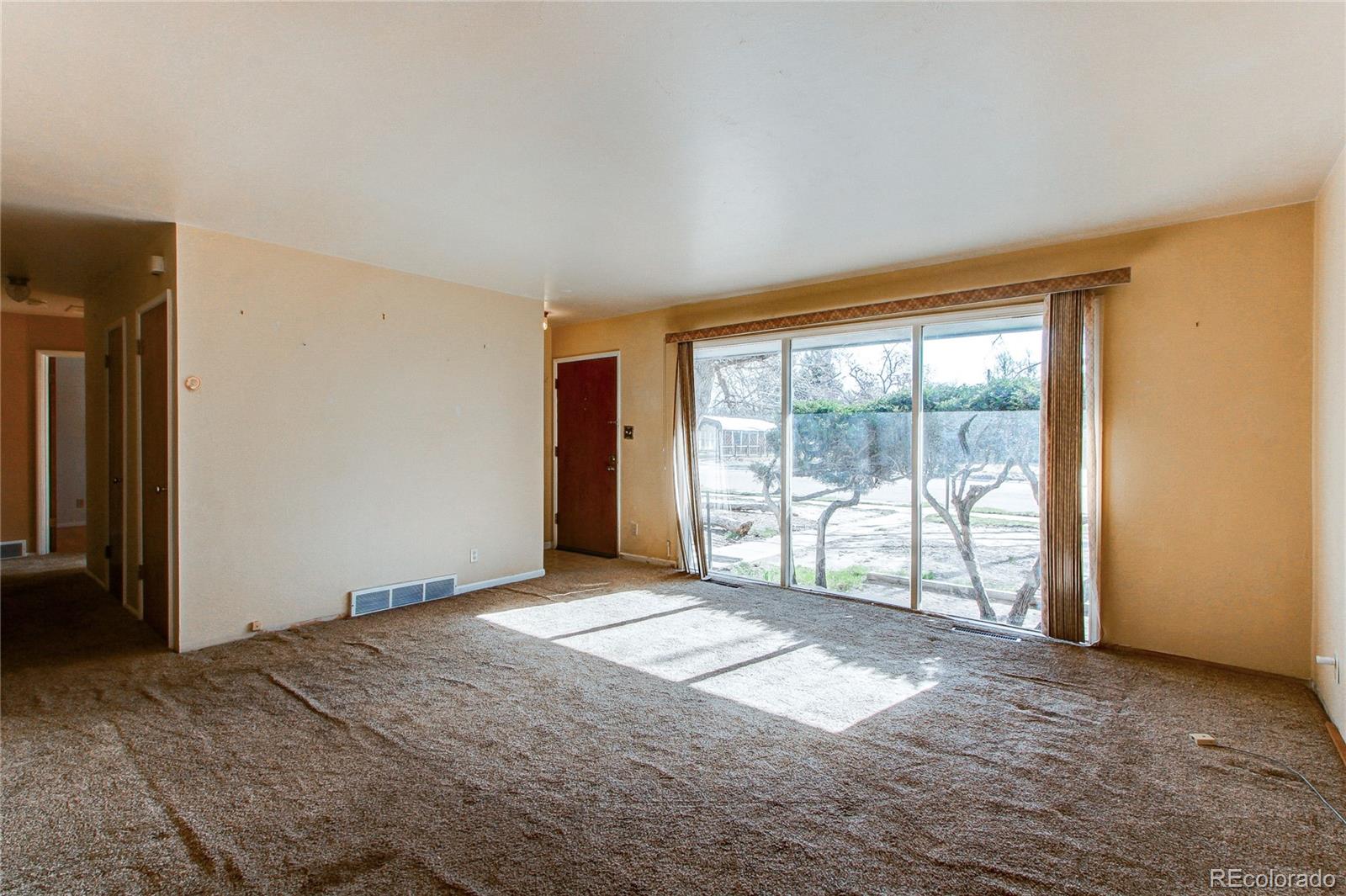MLS Image #5 for 1360  diana lane,colorado springs, Colorado