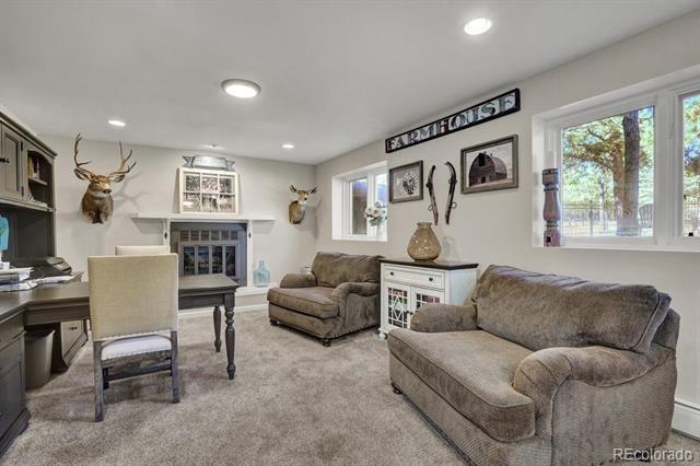 MLS Image #5 for 9755  bennison terrace,colorado springs, Colorado