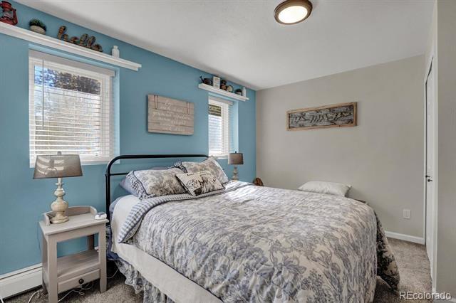 MLS Image #8 for 9755  bennison terrace,colorado springs, Colorado