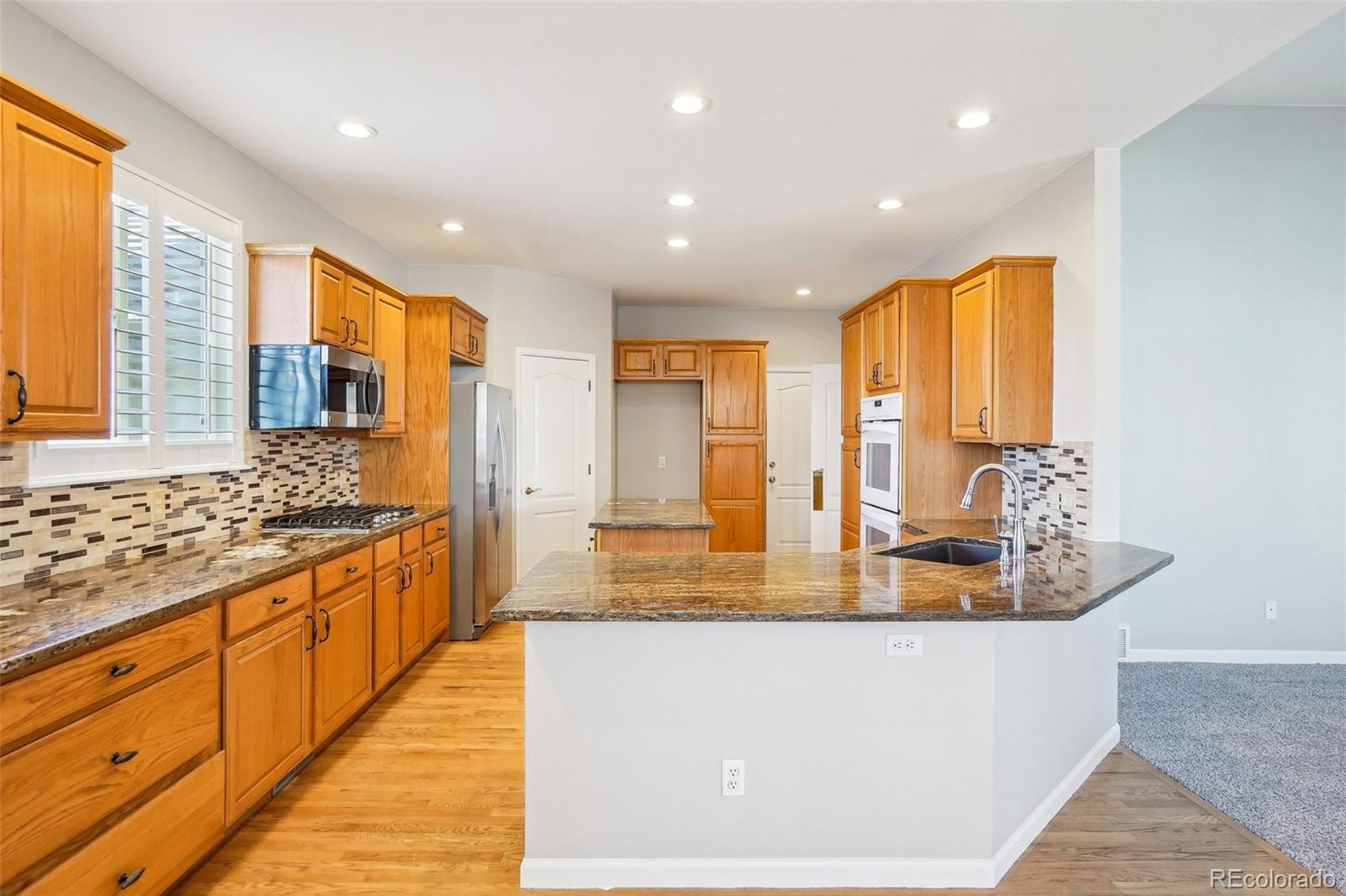 MLS Image #13 for 17309  witten court,parker, Colorado