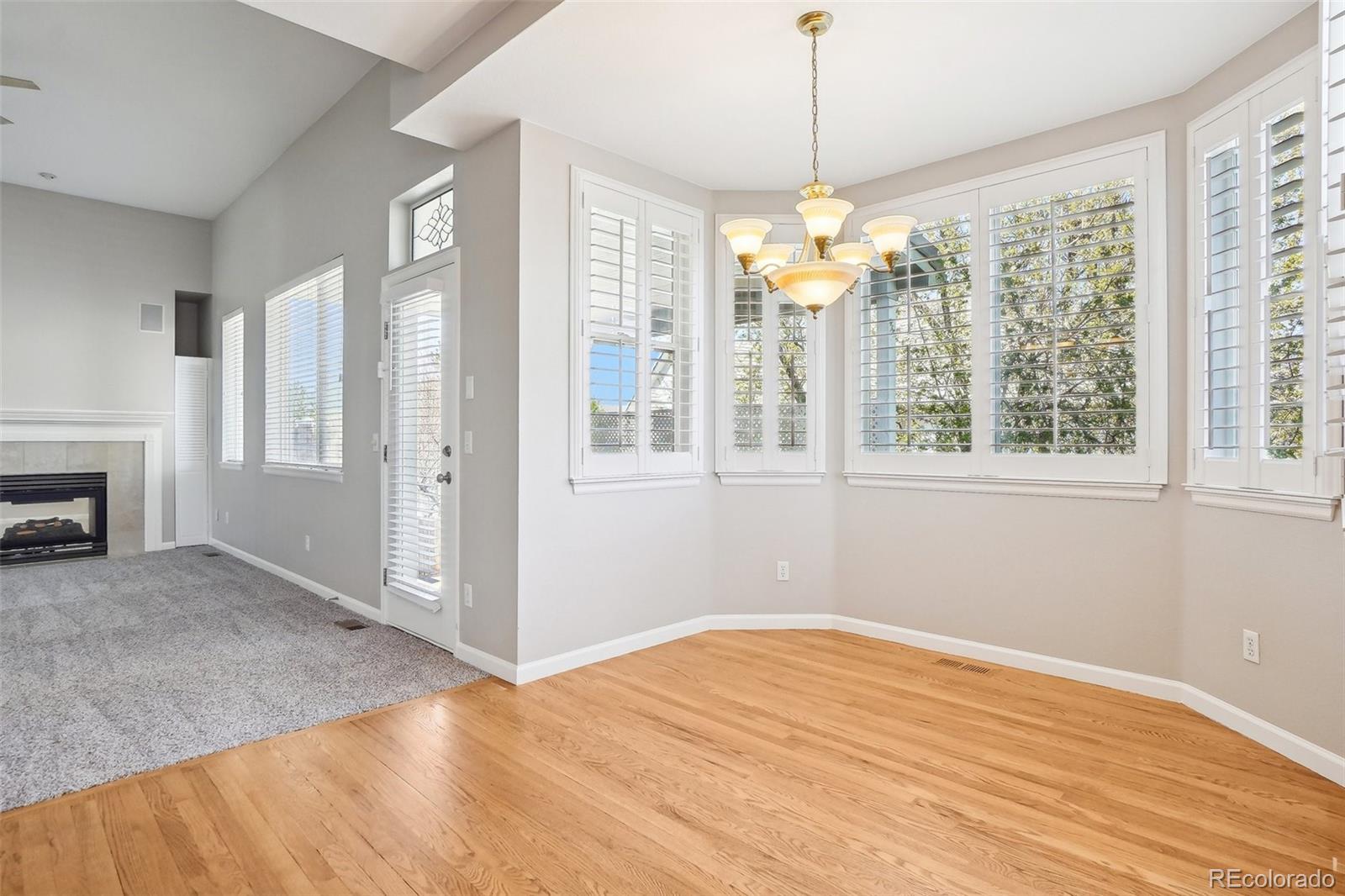 MLS Image #28 for 17309  witten court,parker, Colorado