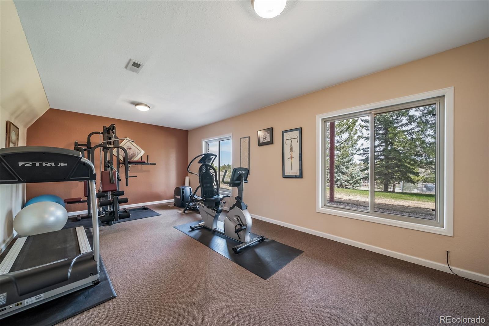 MLS Image #31 for 9745  derby way,parker, Colorado