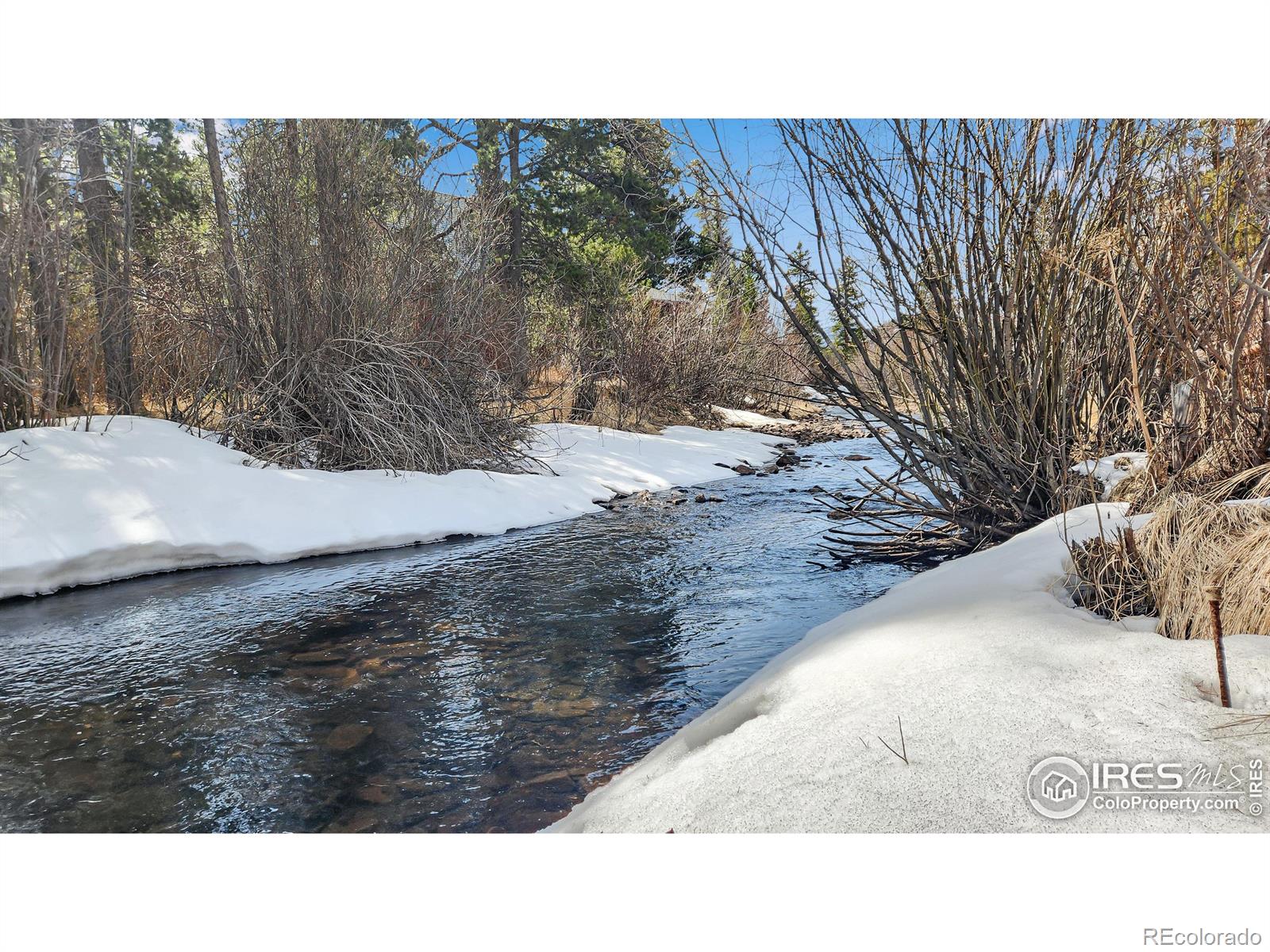 MLS Image #19 for 7282  ottawa way,red feather lakes, Colorado