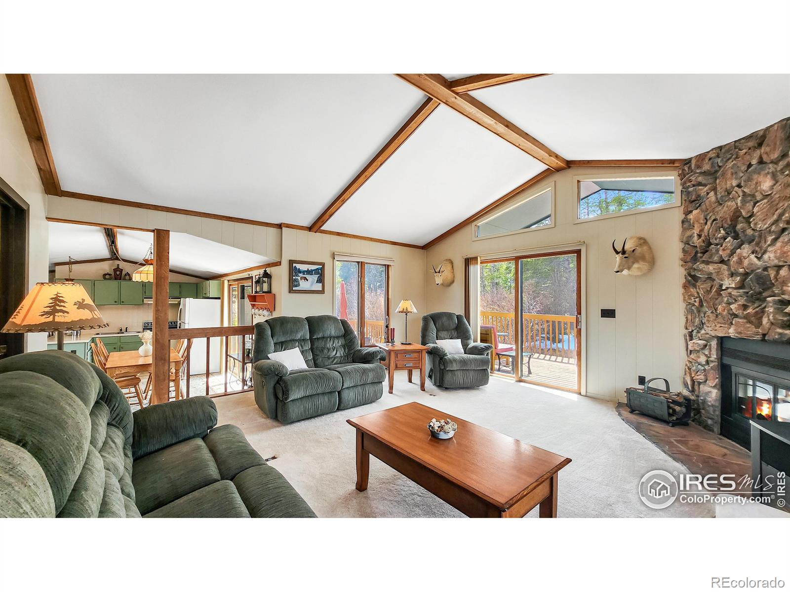 MLS Image #21 for 7282  ottawa way,red feather lakes, Colorado