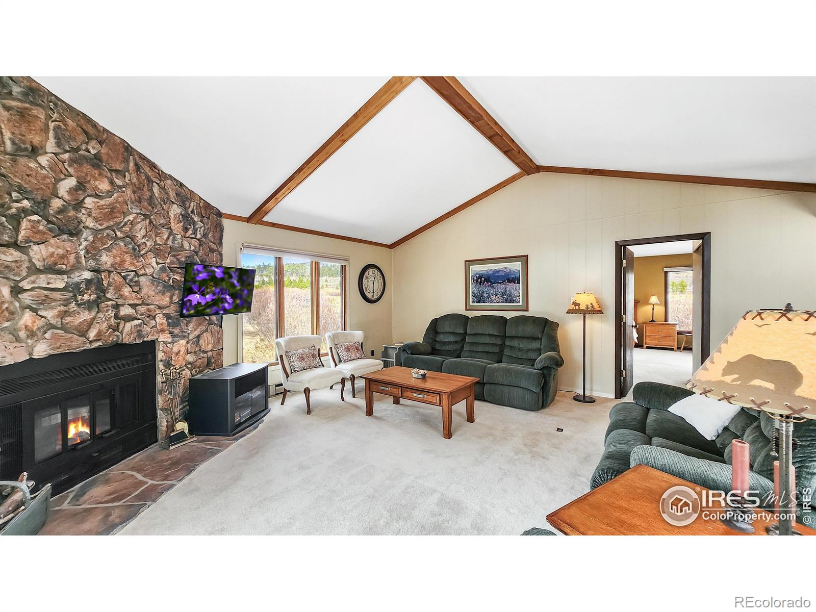 MLS Image #23 for 7282  ottawa way,red feather lakes, Colorado