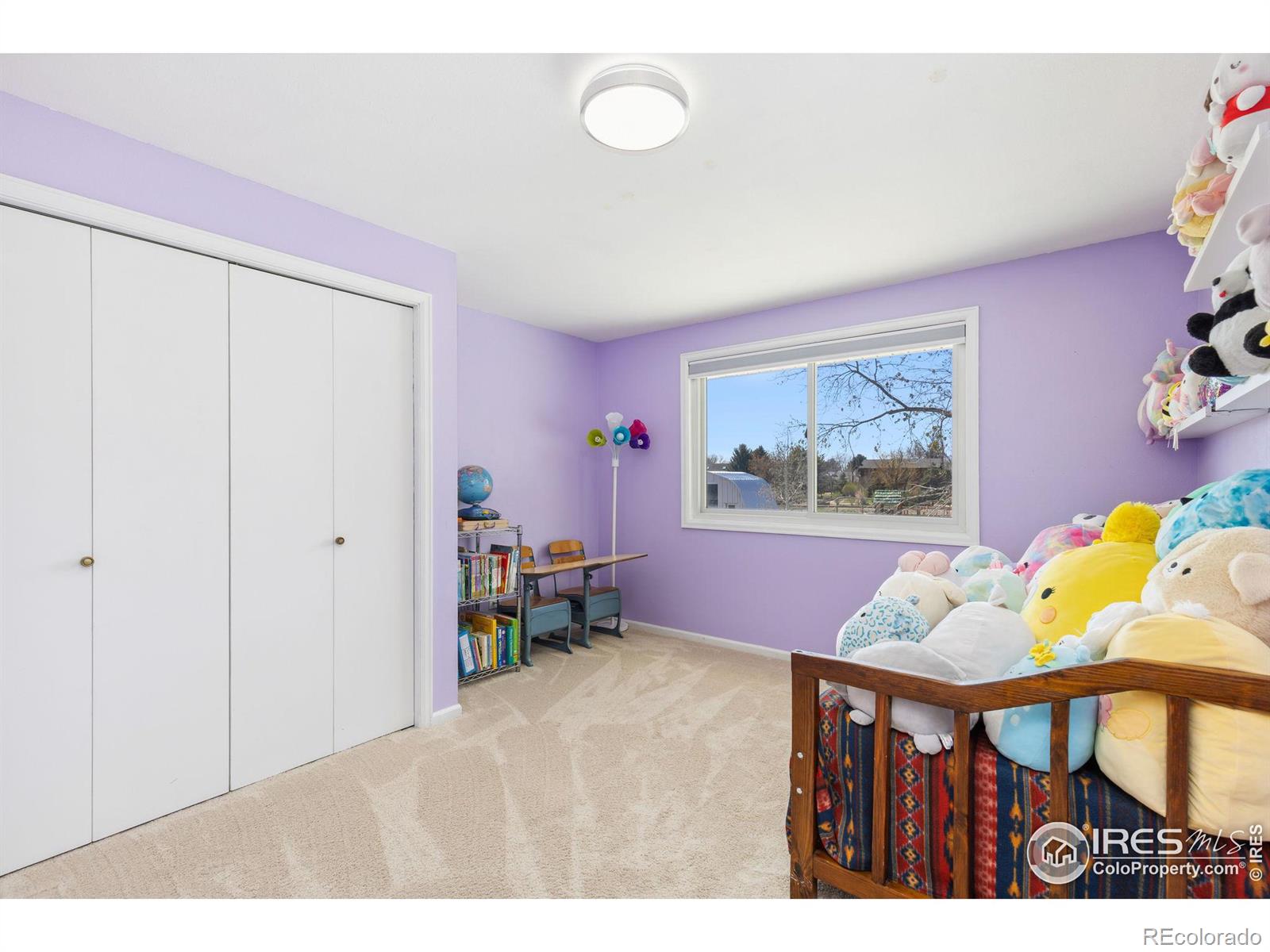 MLS Image #18 for 2819  lake park way,longmont, Colorado