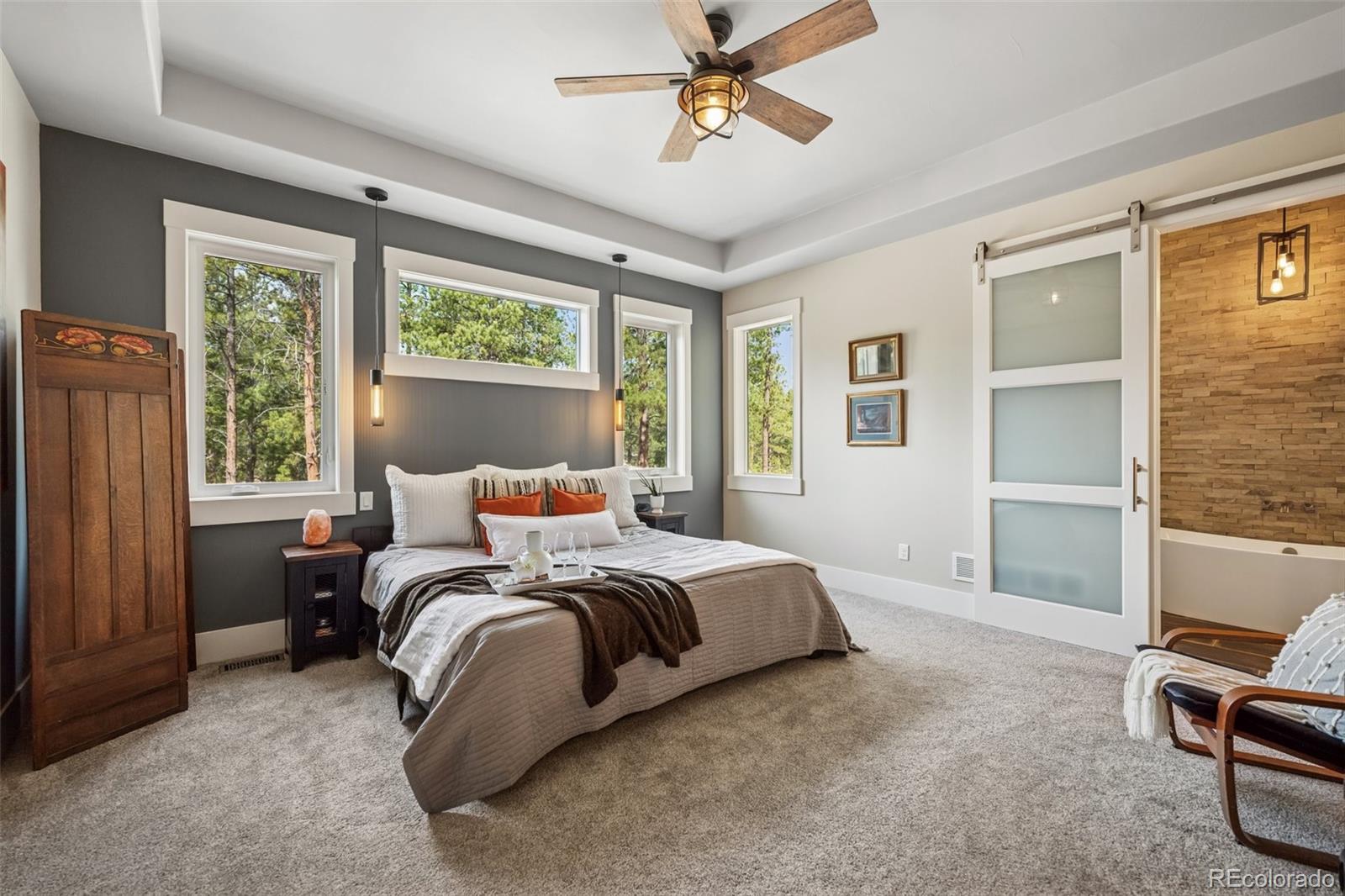 MLS Image #18 for 15182  quartz creek drive,colorado springs, Colorado