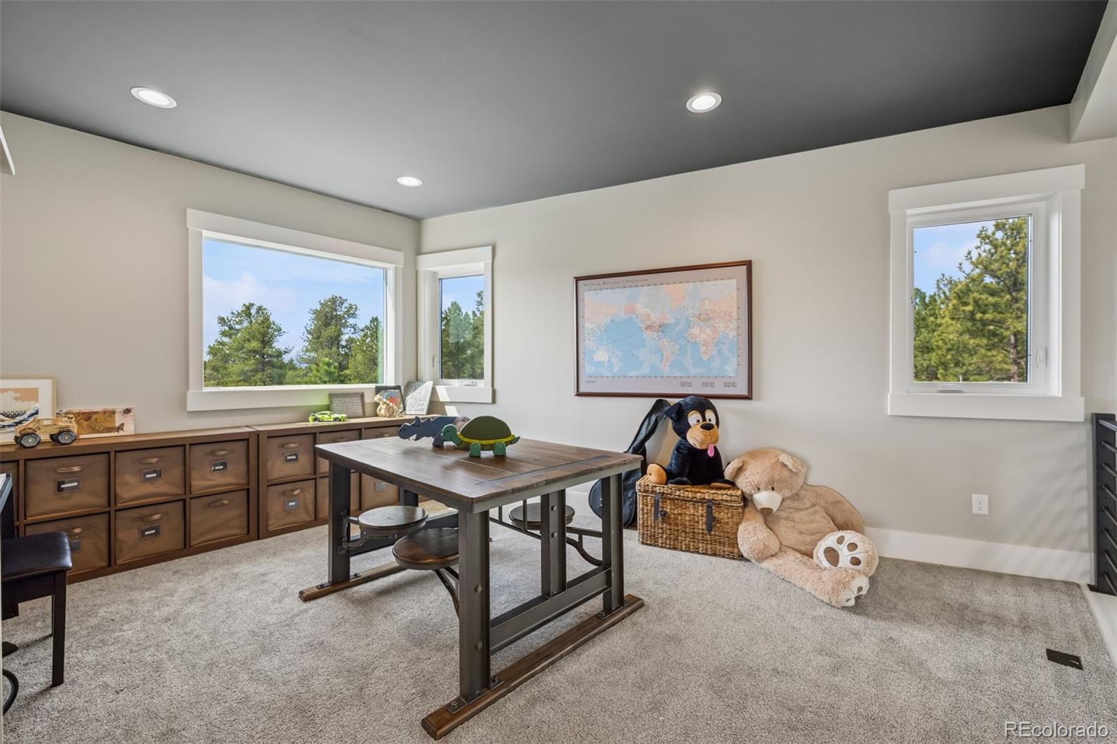MLS Image #24 for 15182  quartz creek drive,colorado springs, Colorado