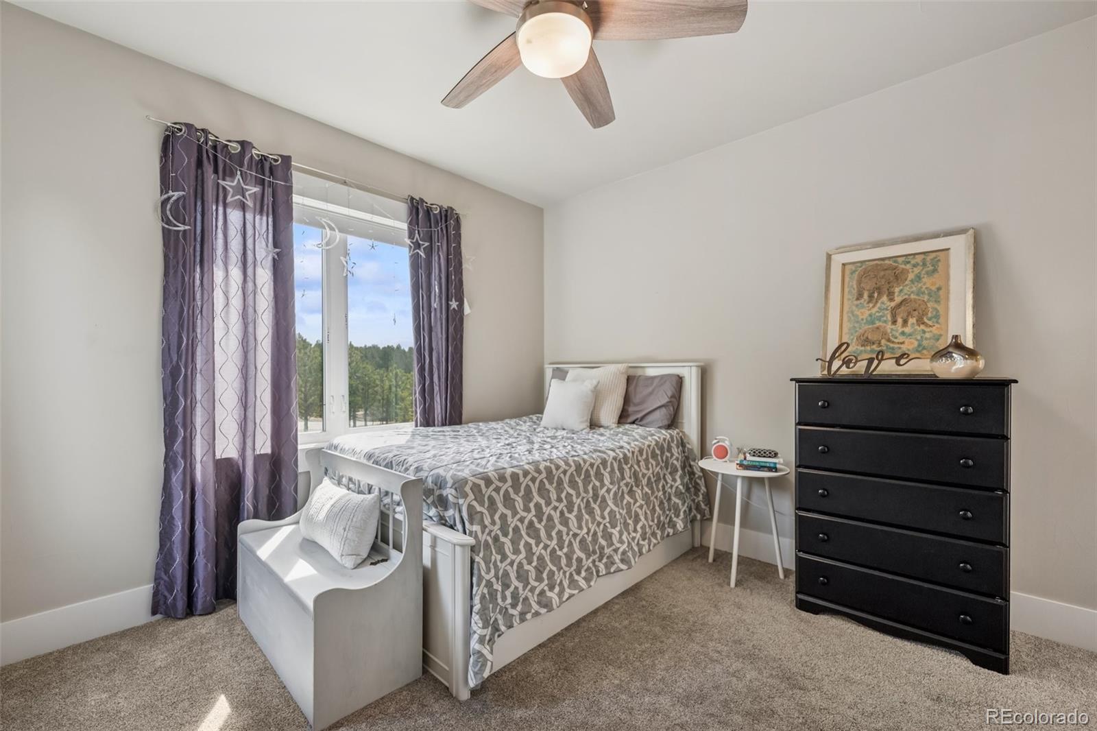 MLS Image #27 for 15182  quartz creek drive,colorado springs, Colorado