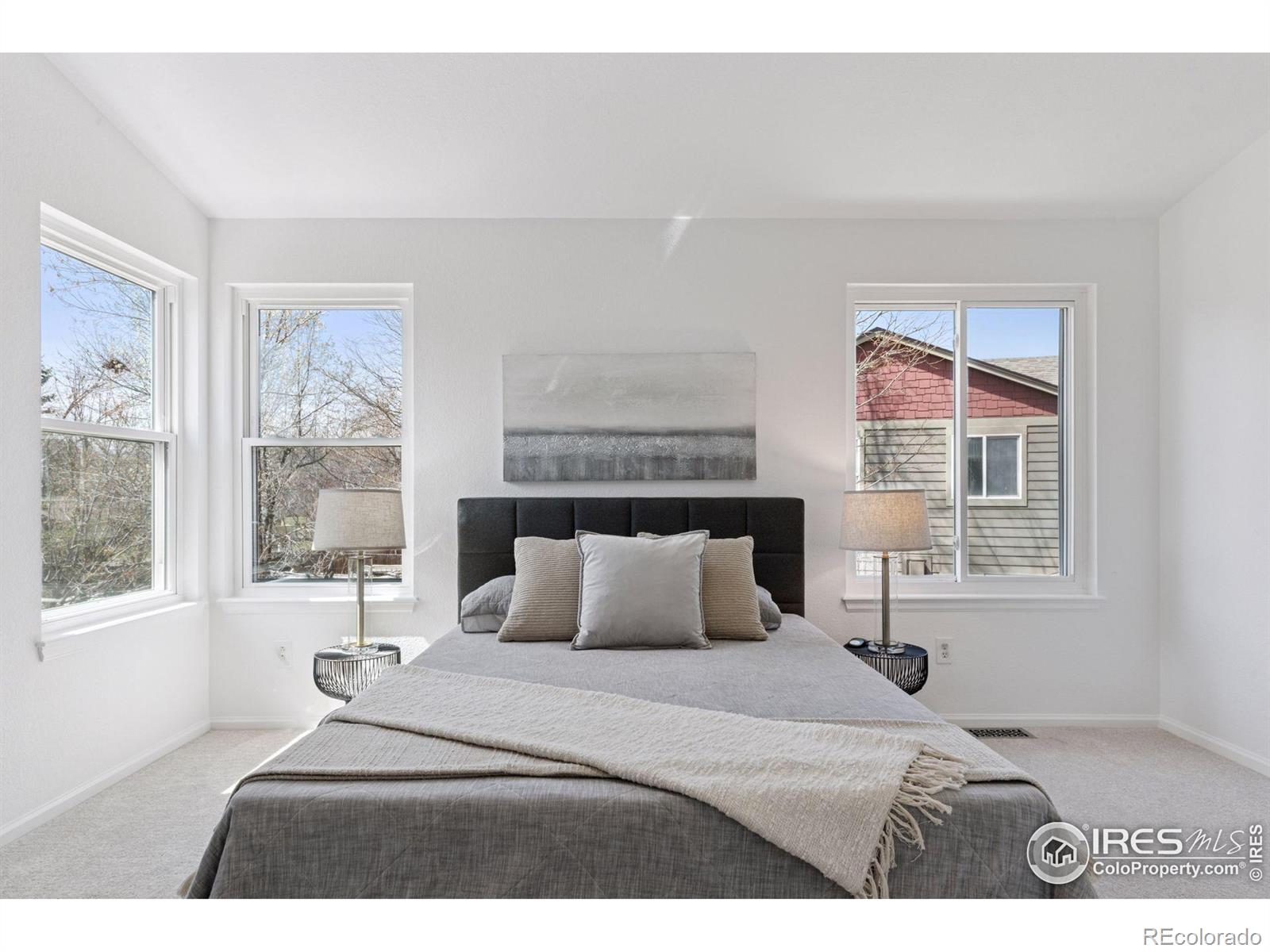 MLS Image #14 for 701  nelson park circle,longmont, Colorado