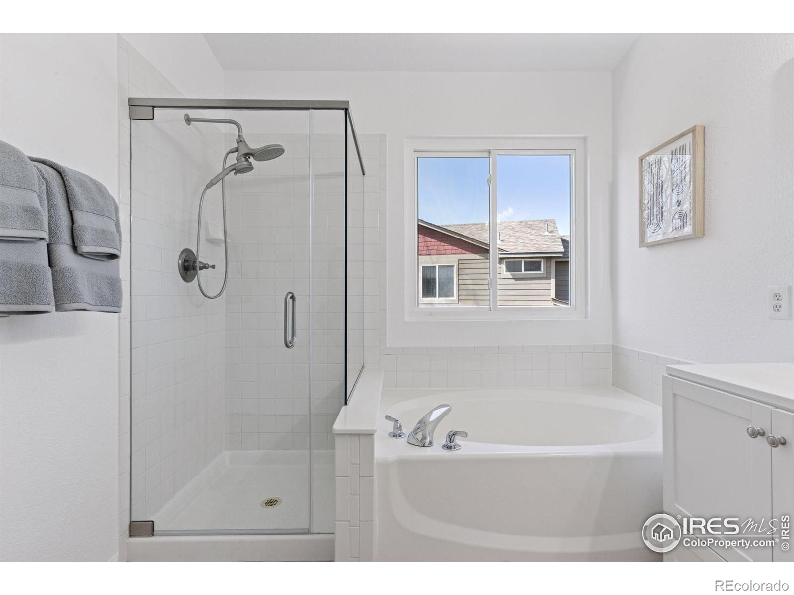 MLS Image #16 for 701  nelson park circle,longmont, Colorado